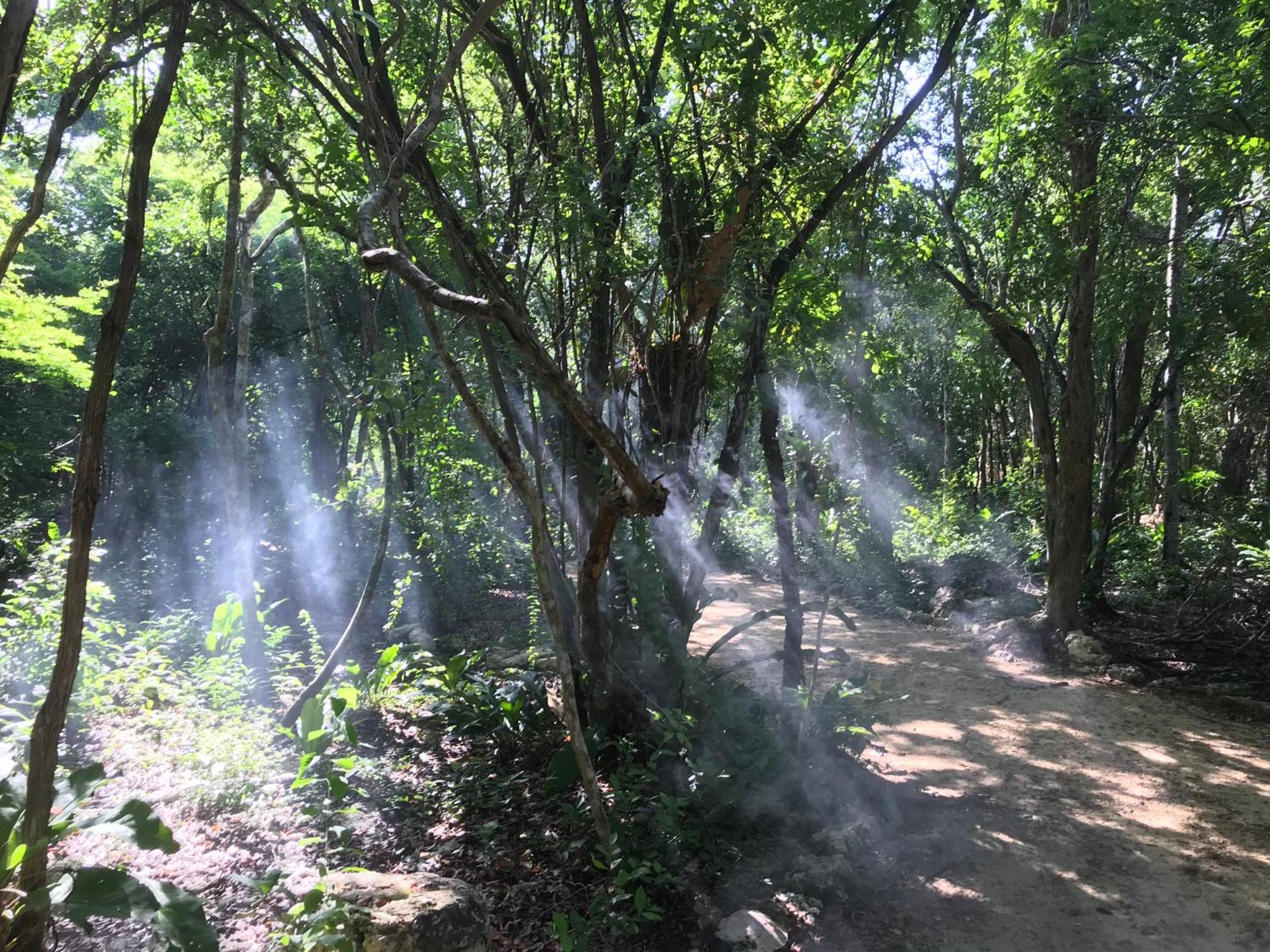 Tulum Nueve, foto 16