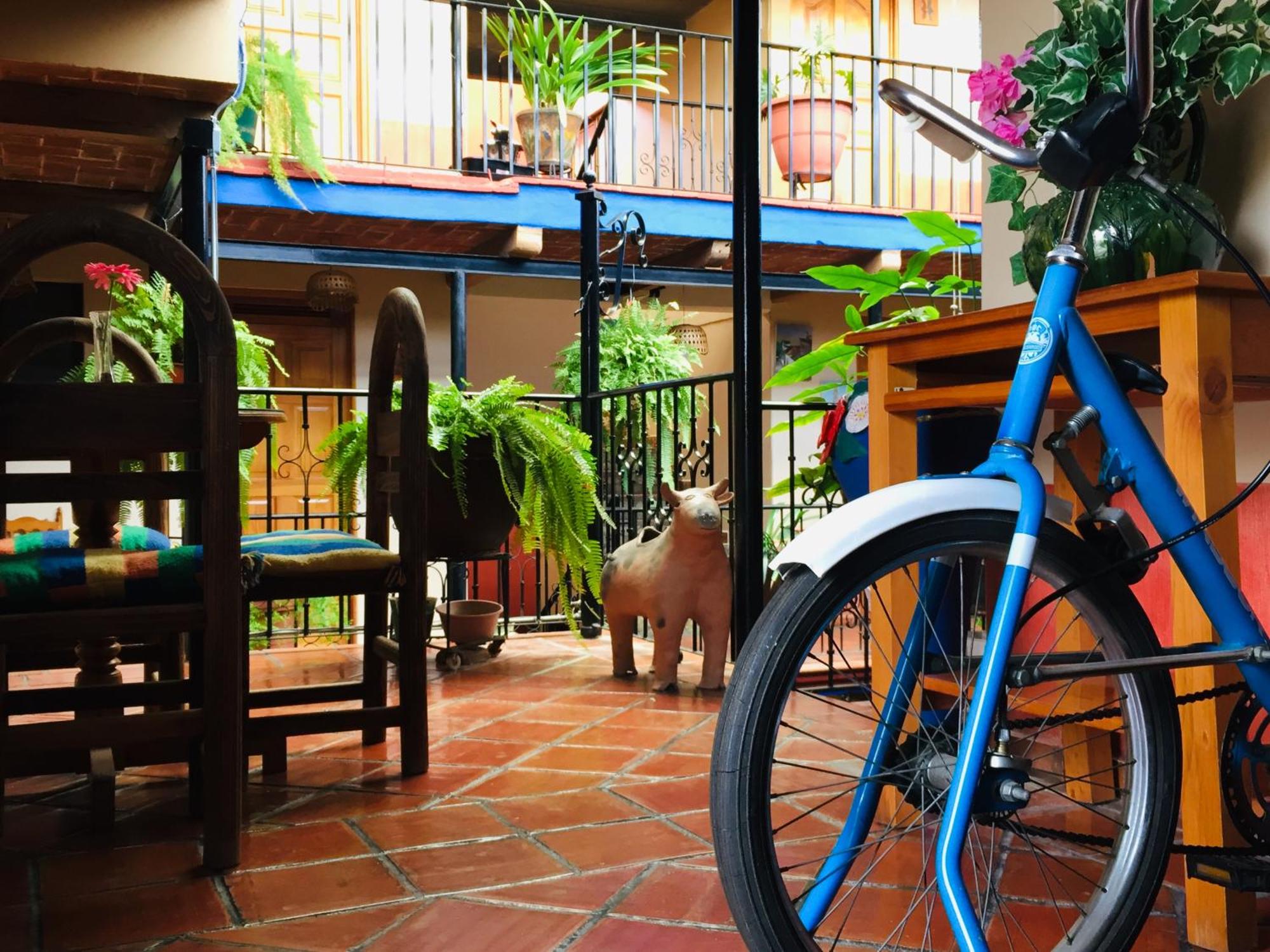 Hotel Cazomalli Oaxaca — foto 4