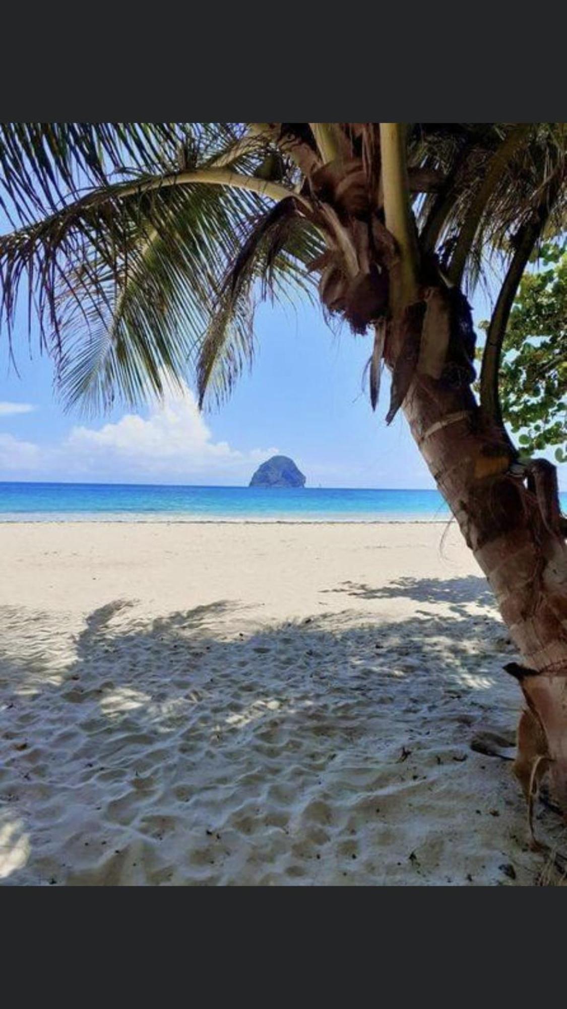 Coco Paradise, foto 16