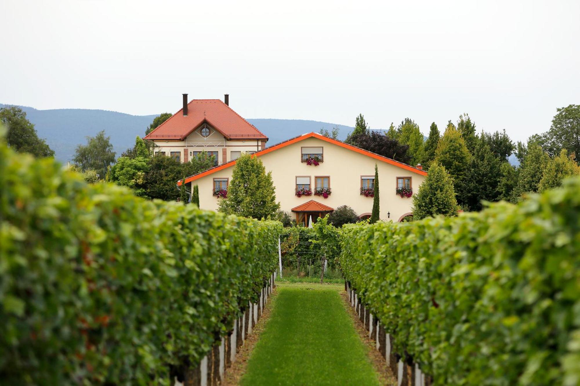 Villa Hochdorffer Gastehaus