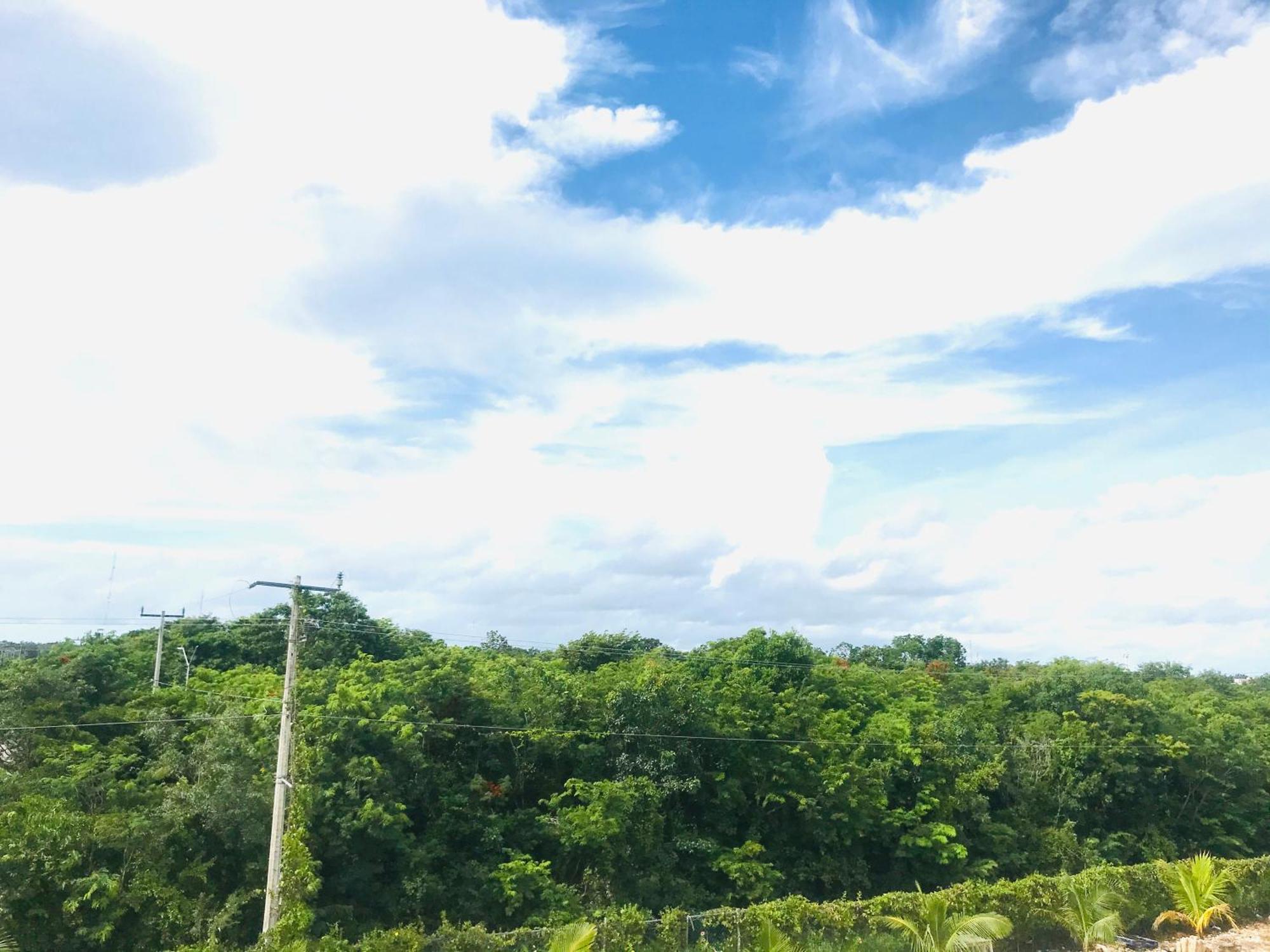 Private Villa Nah-K'aan House Tulum", foto 14