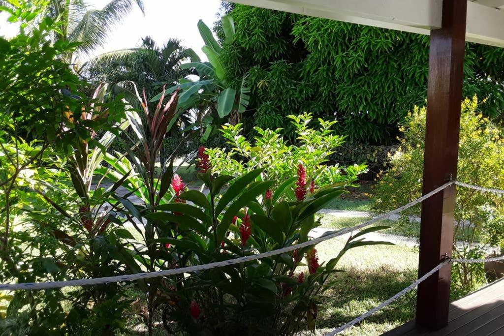 Gîte Cumaru, proche plages, restos et commerces, foto 10