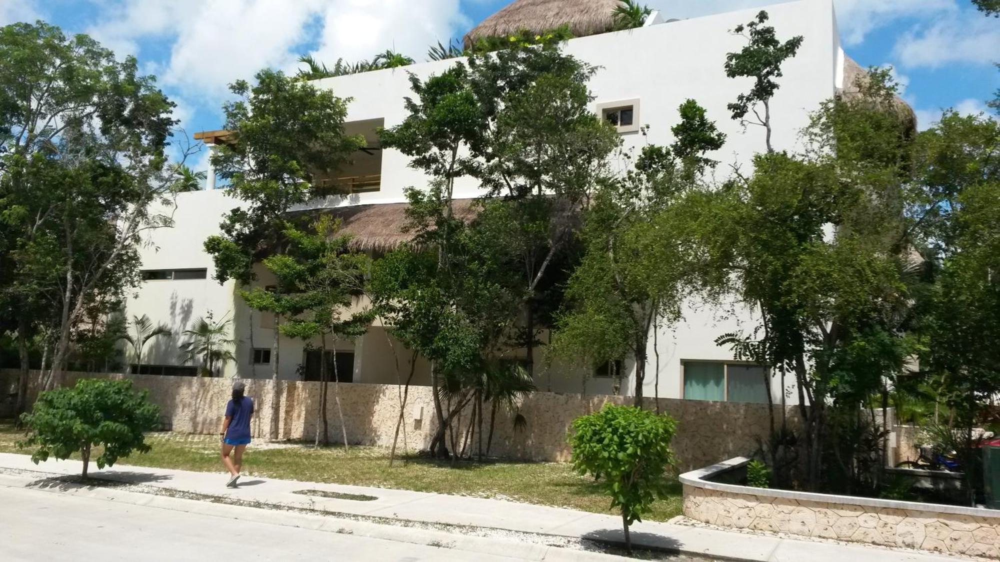 Stay in Tulum!, imagen 2