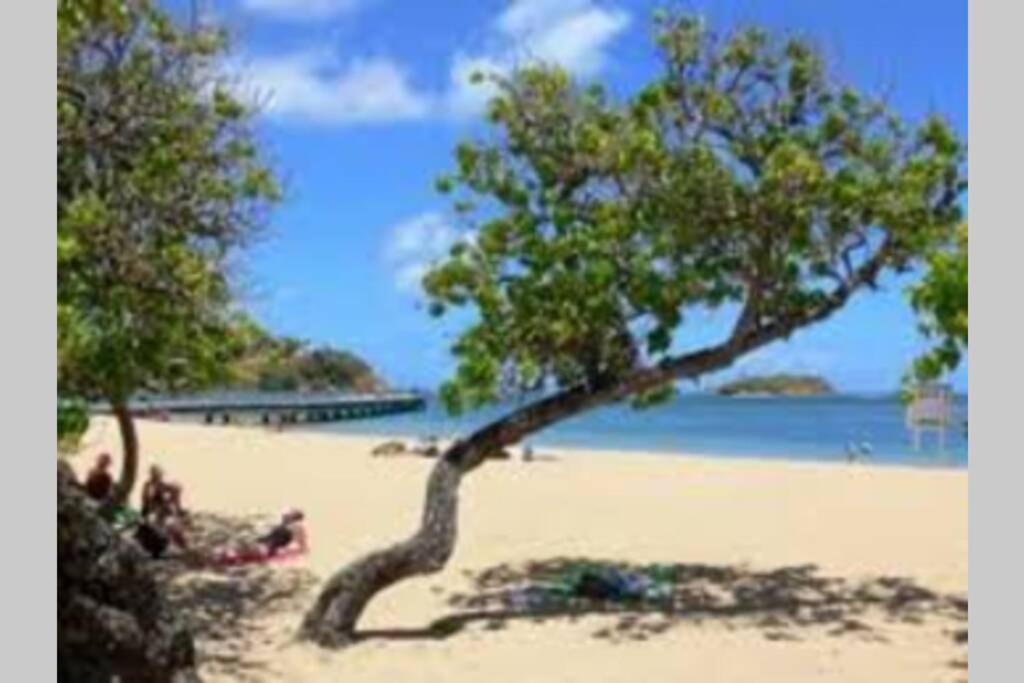 Le Paradis de la Baie 4 couchages à 2 Minutes des plages de TARTANE tout équipé, foto 16