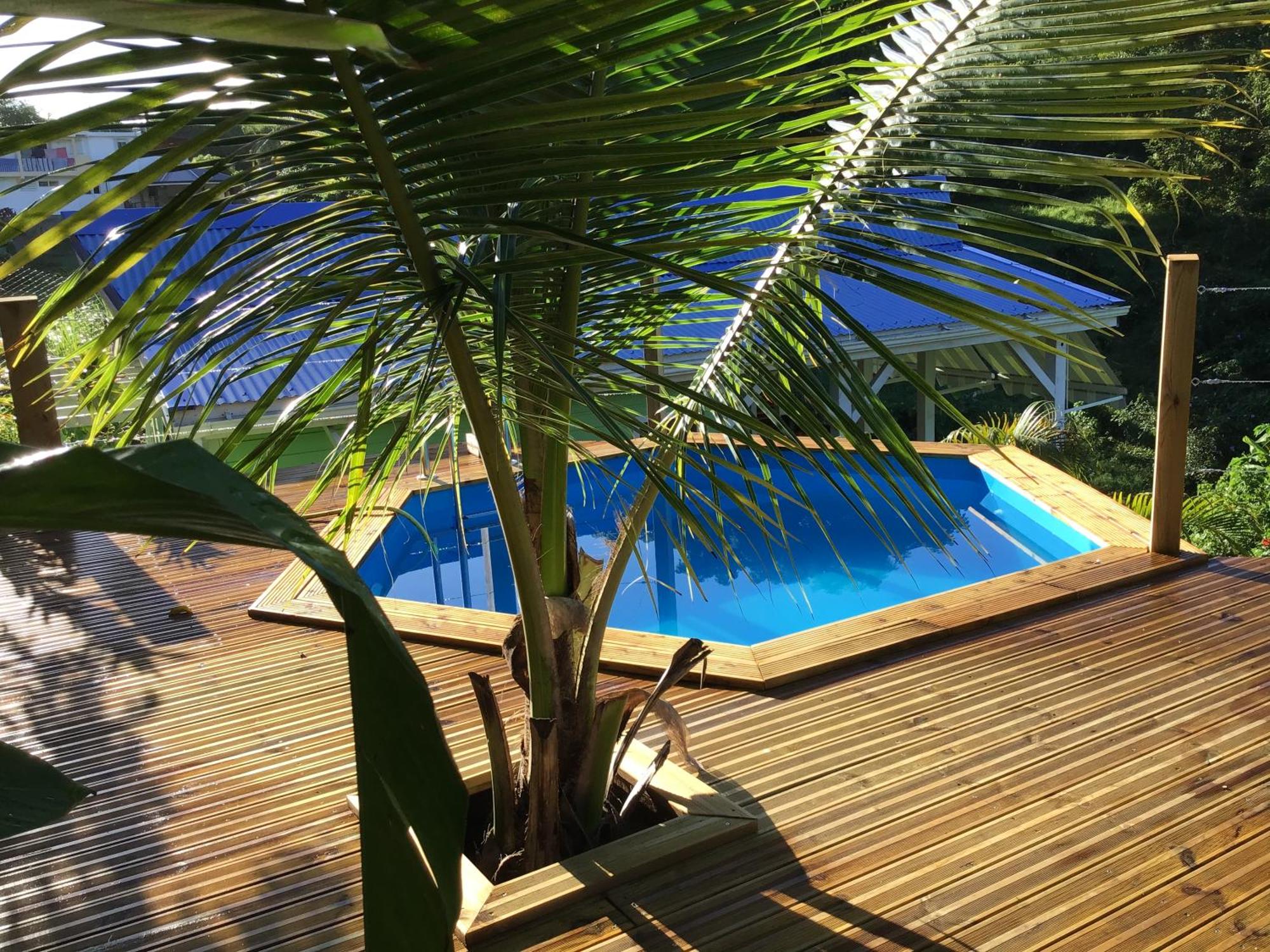 L'escale Tropicale, imagen 2