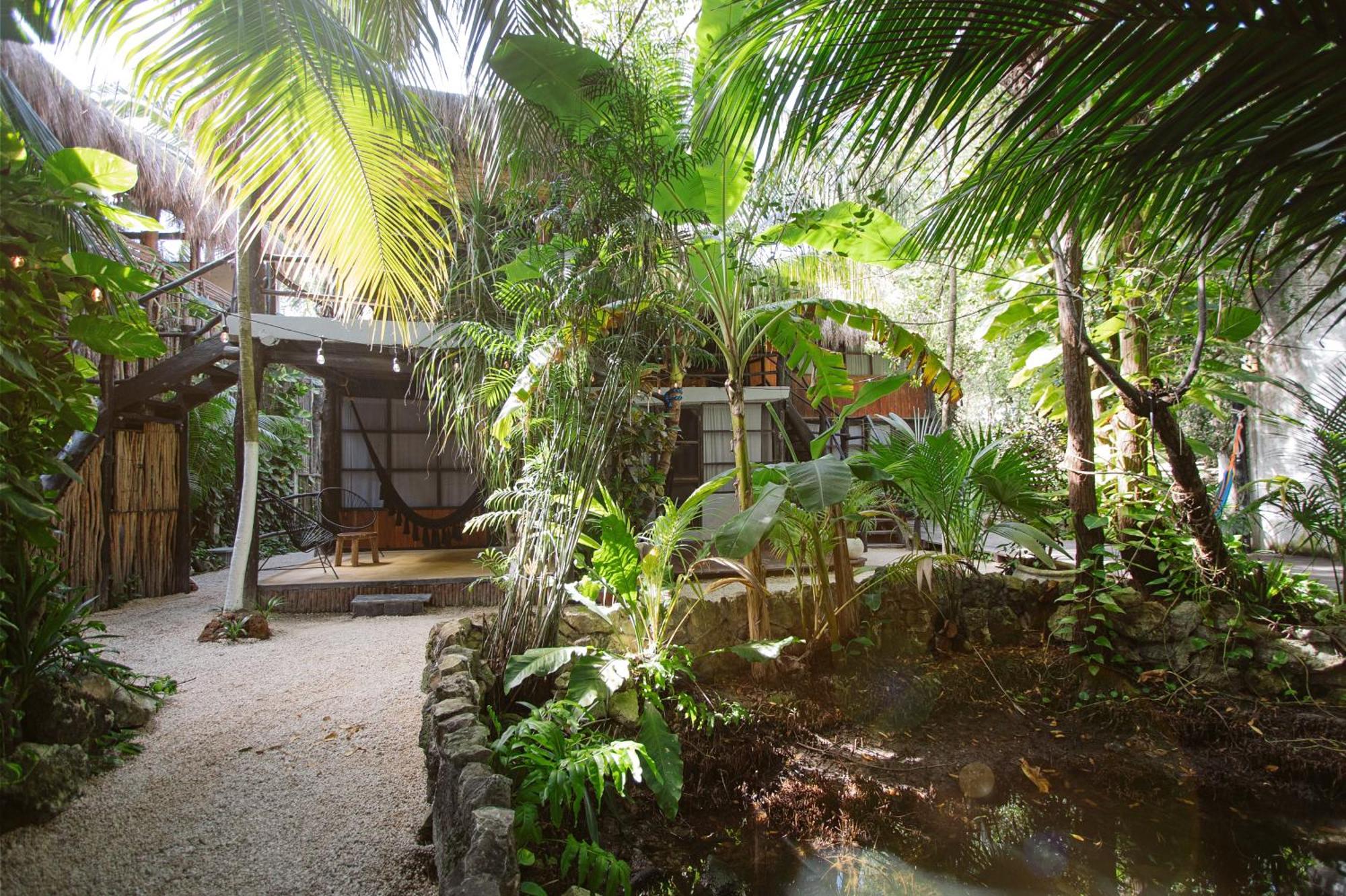 Tunich Jungle Cabañas, foto 12