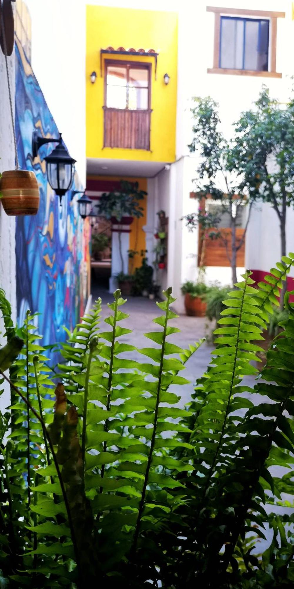 Santa Josefita, foto 16
