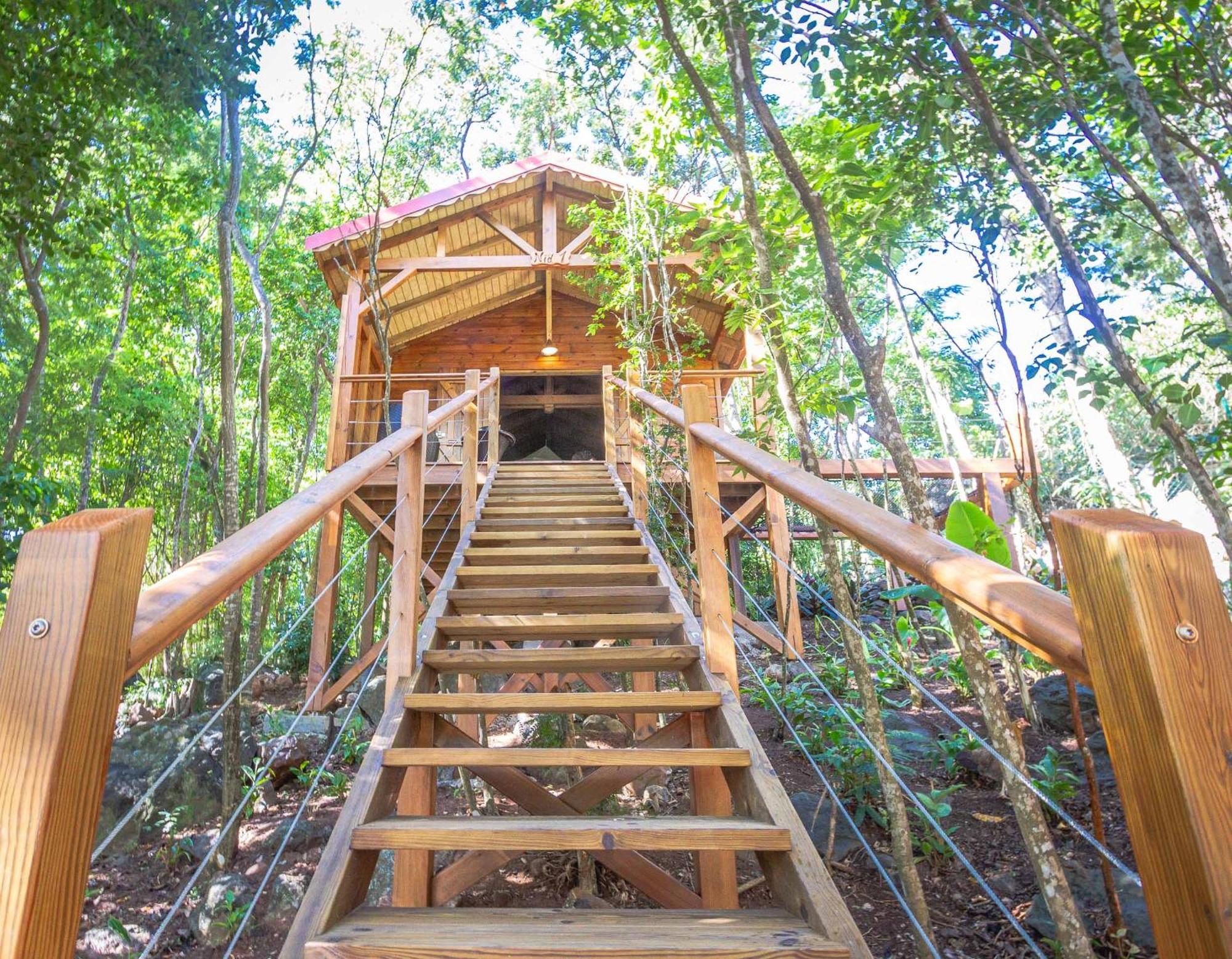 Au Jardin Des Colibris Ecolodge&Spa, foto 12