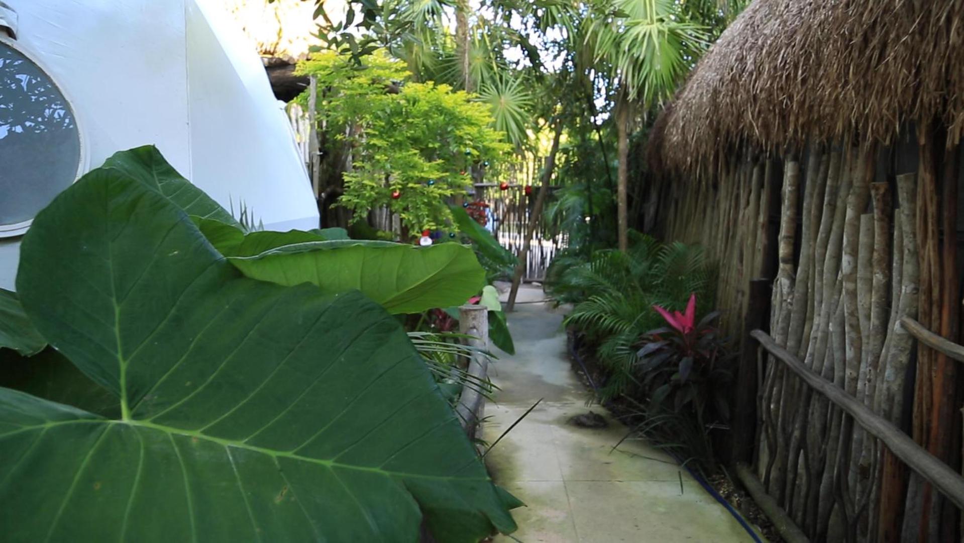 Glamping Tulum with private mini pool, imagen 4