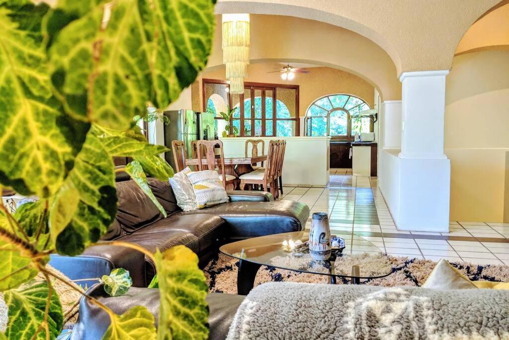 Steps to Ocean Huge Beach Villa Private Pool in Exclusive Fase 1 Playacar, foto 10