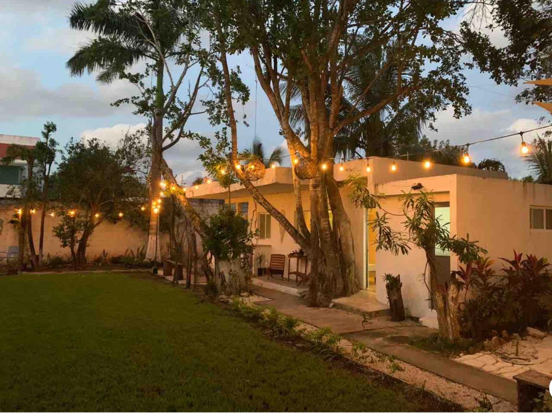 Casa Borush by Ecoplaneta, foto 8
