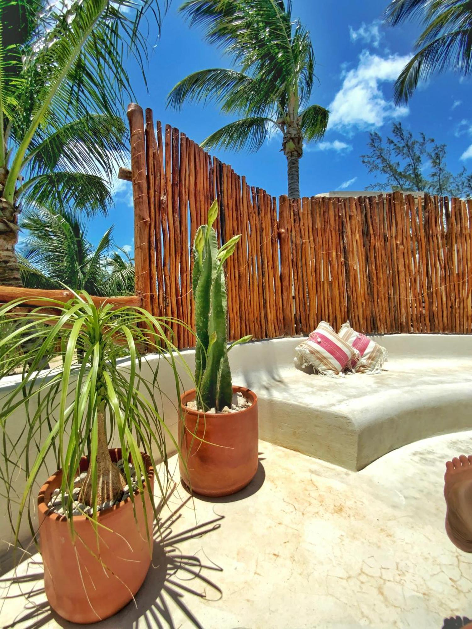 Private house & garden - Casa privada con jardín - Casa Cacahuate Holbox, foto 12