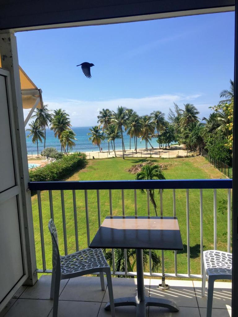 Studio vue mer Le Gosier sans coupure d'eau, foto 14