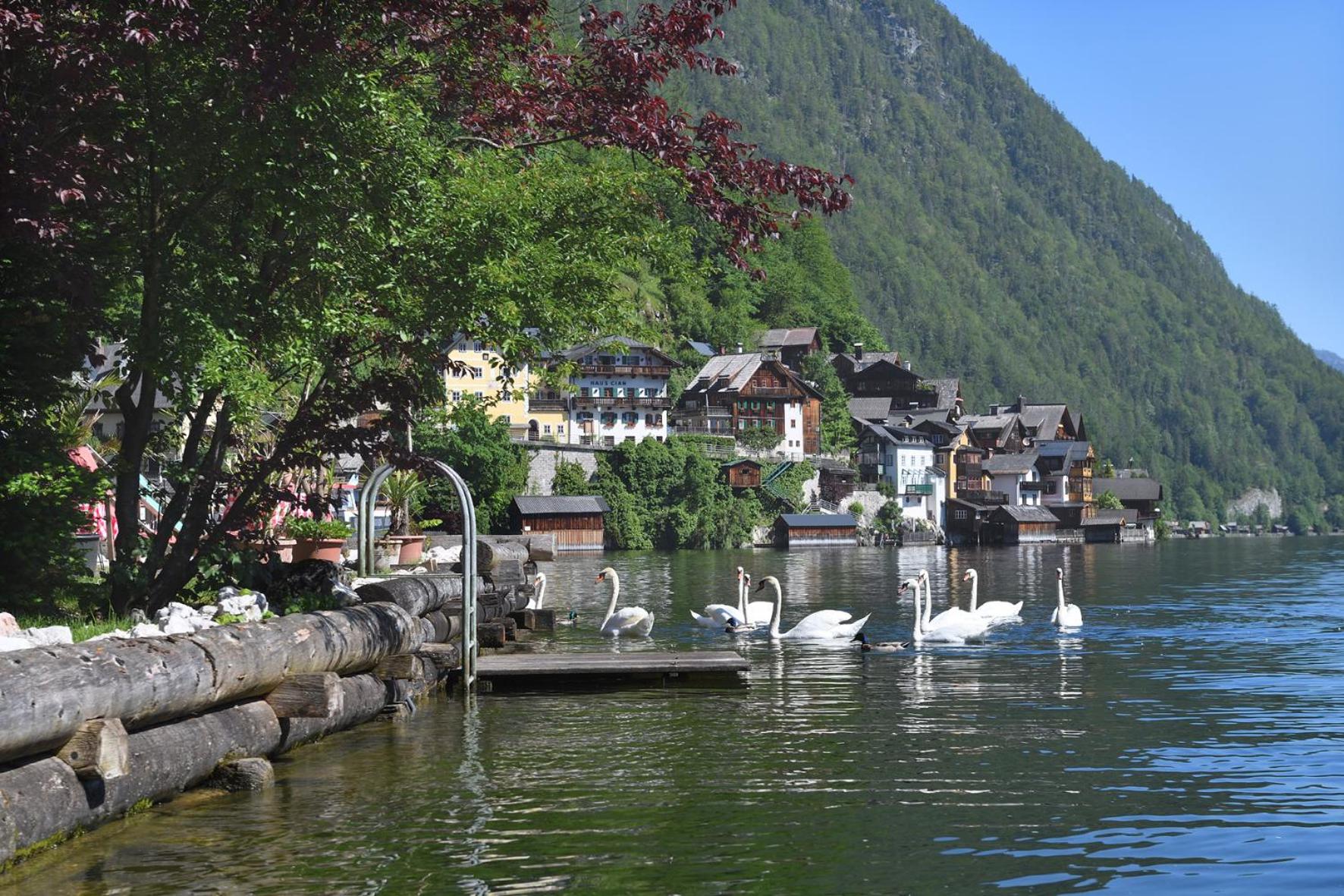 Gasthof Simony Hallstatt B&B — photo 3