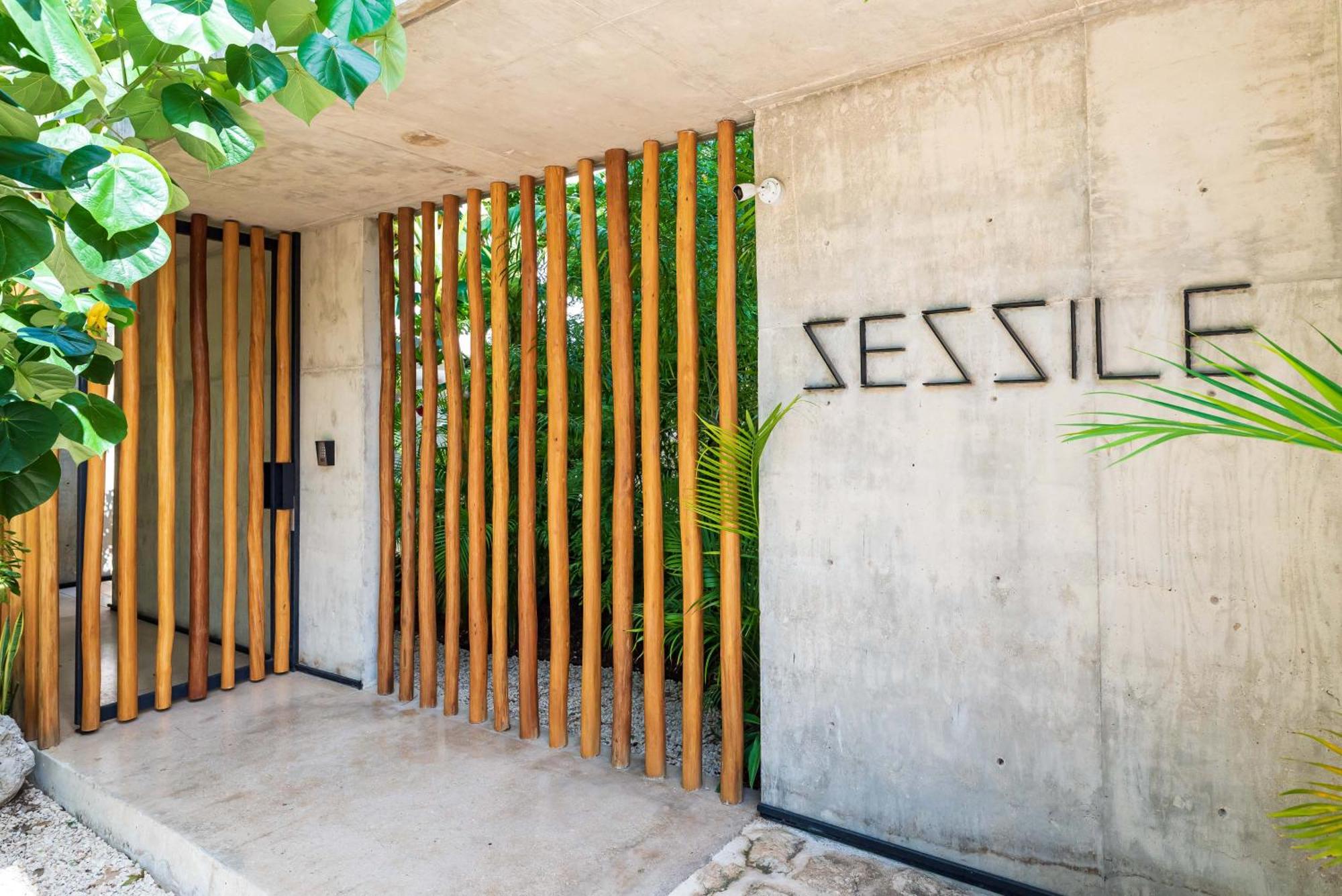 Sessile Tulum by The Spot Rentals, foto 12