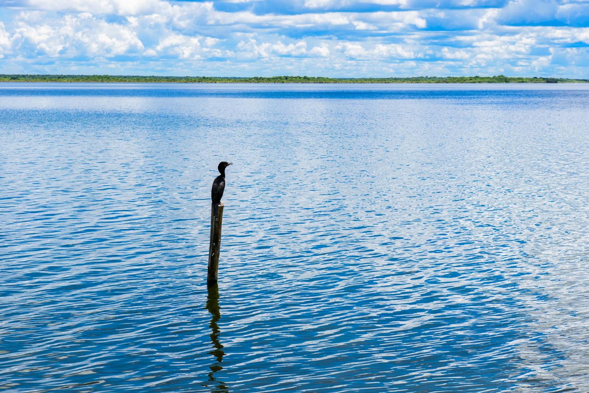 San Fernando Bacalar, Villa Piña Colada, foto 12