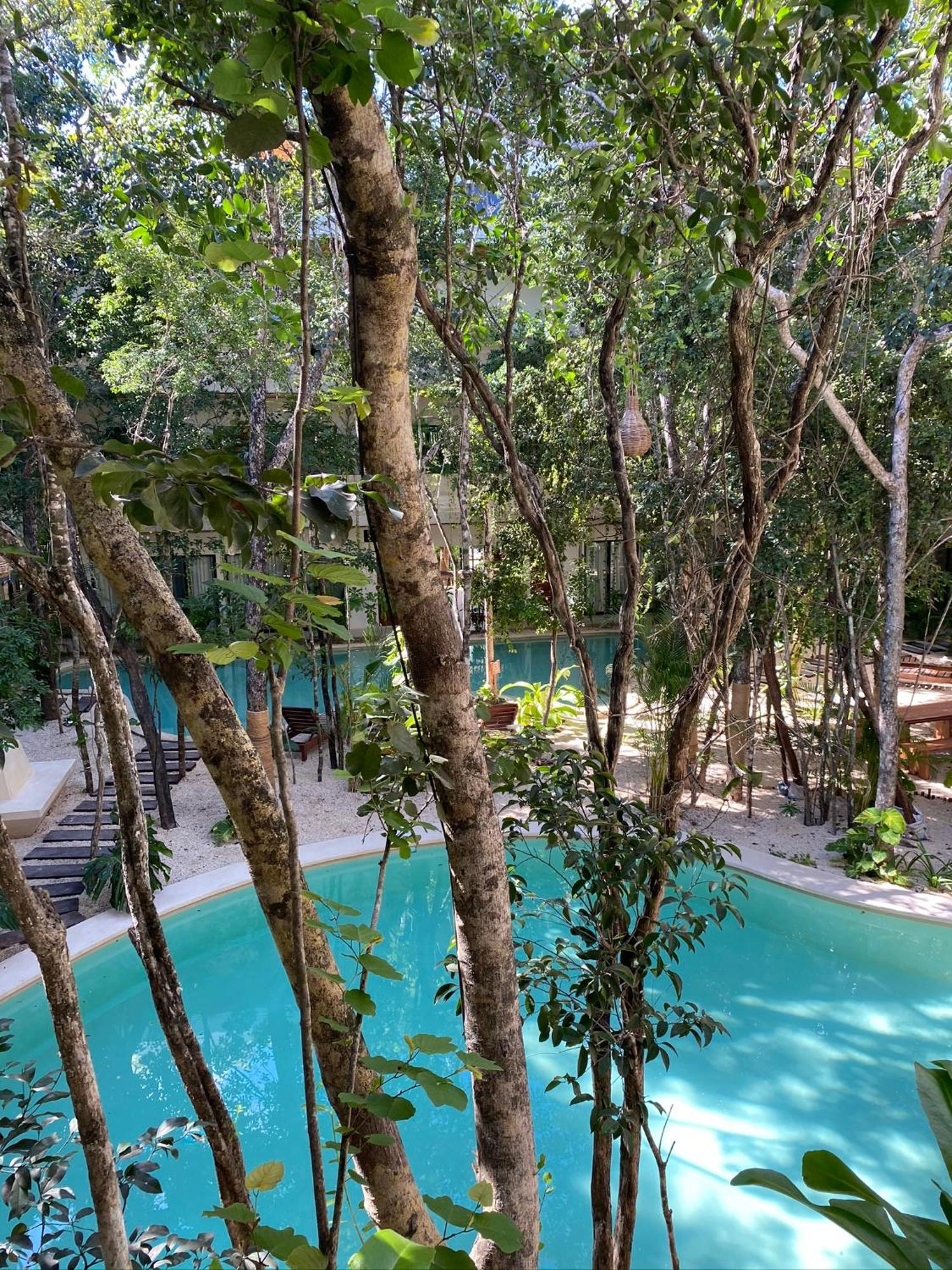 Jungle View 2bed 2bath Condo/ Wi-Fi/ Pool/ Gym, foto 10