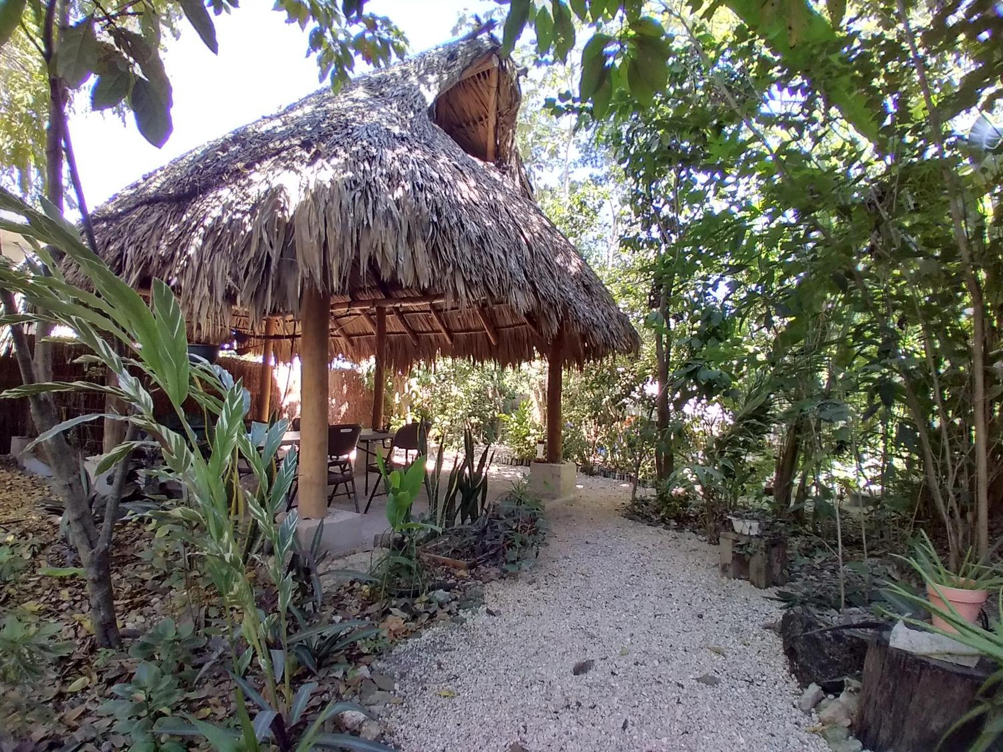 Guarumbo, foto 11