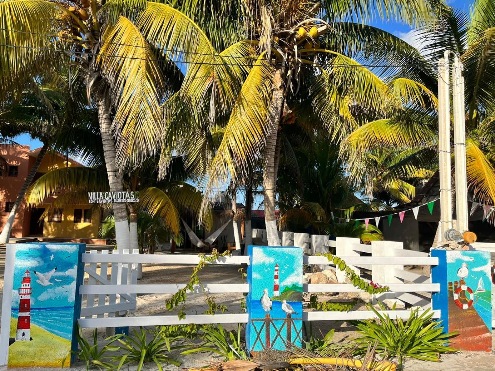 Loft gaviota vista jardín 15 mts de playa, foto 14