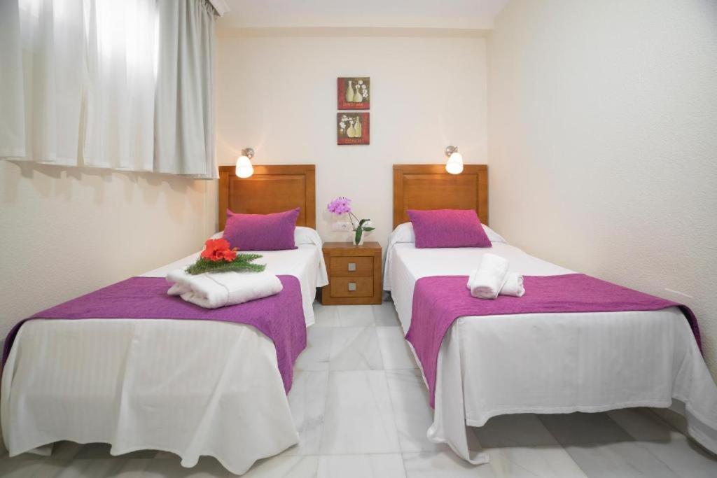 APARTAMENTOS MAR Y GOLF — photo 4