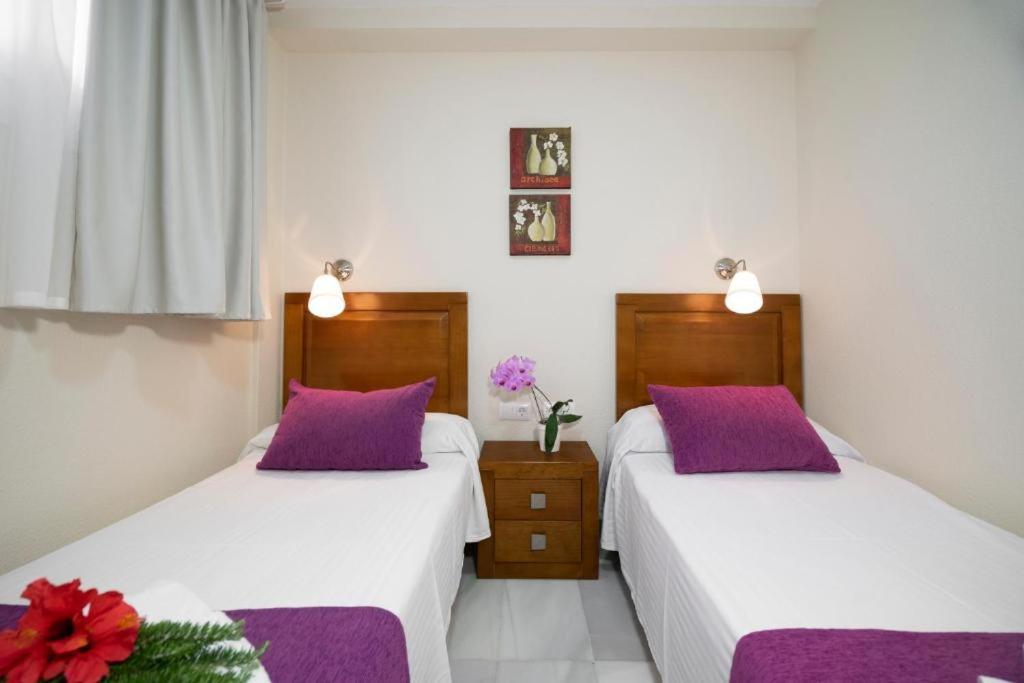 APARTAMENTOS MAR Y GOLF — photo 5