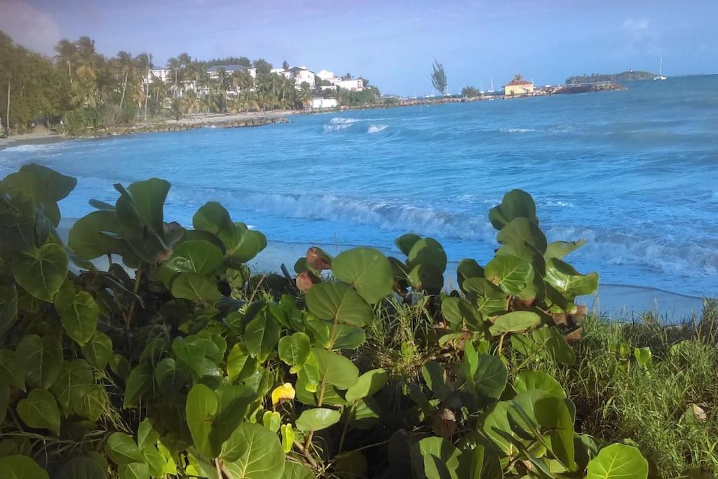 La Kaz du Lagon sans coupure d'eau, foto 12
