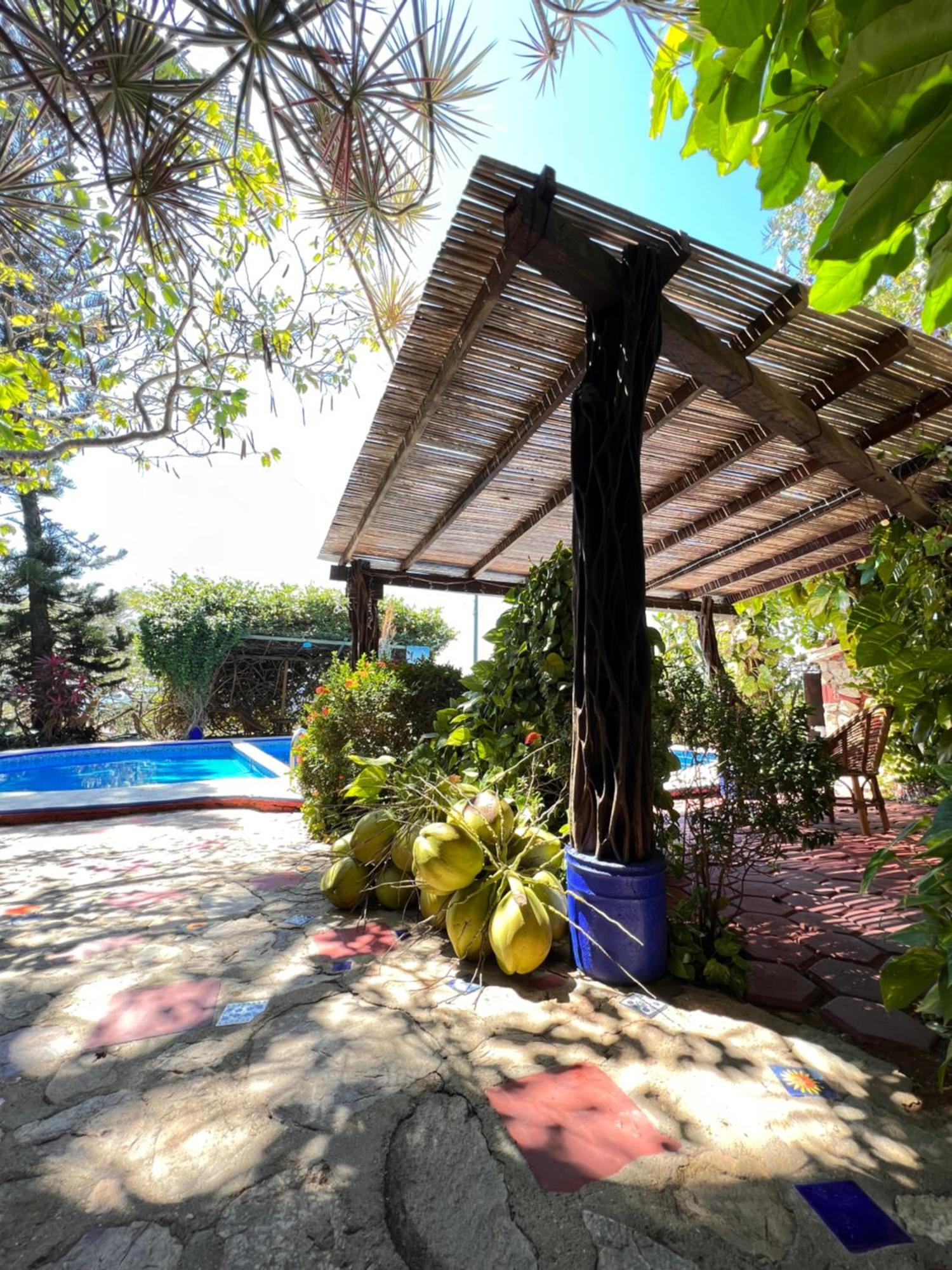Casa Terranova — photo 5
