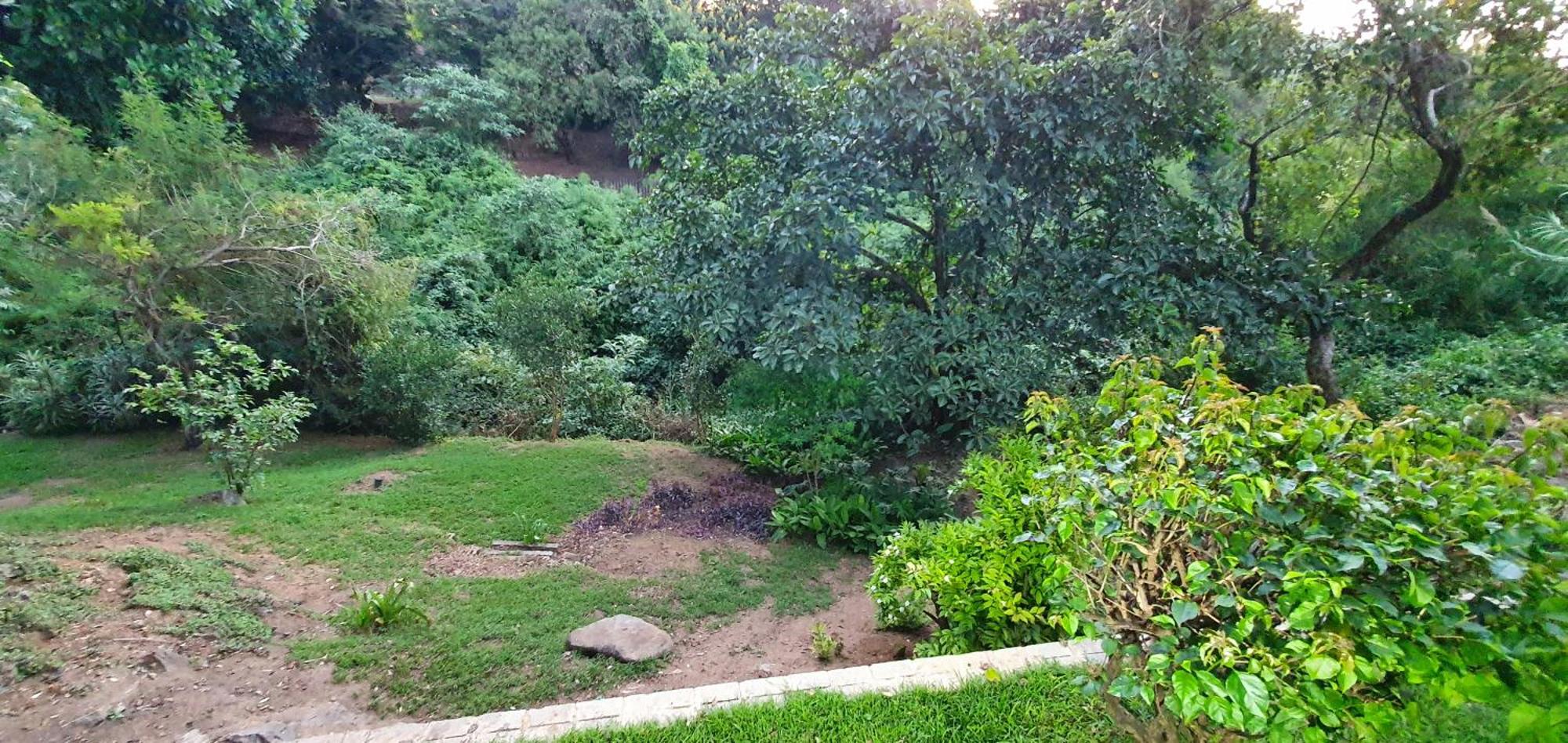Sister's Haven — photo 2