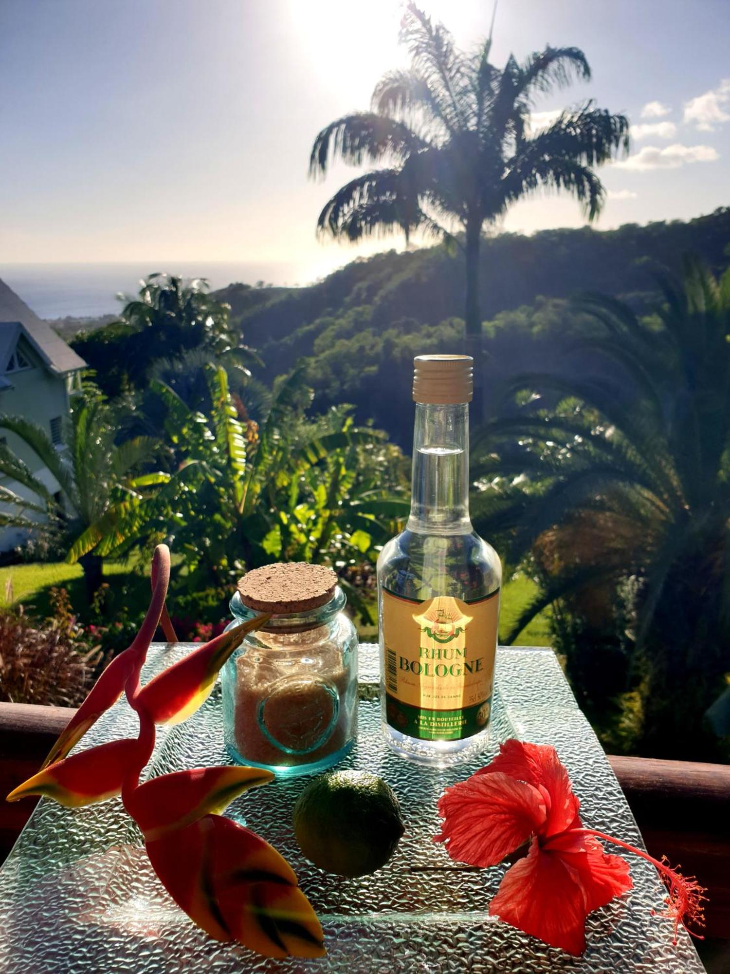 Gîte 4 étoiles, la Vieille Sucrerie St Claude Guadeloupe, Jacuzzi Spa privatif, vue exceptionnelle sur la mer des Caraïbes, imagen 4