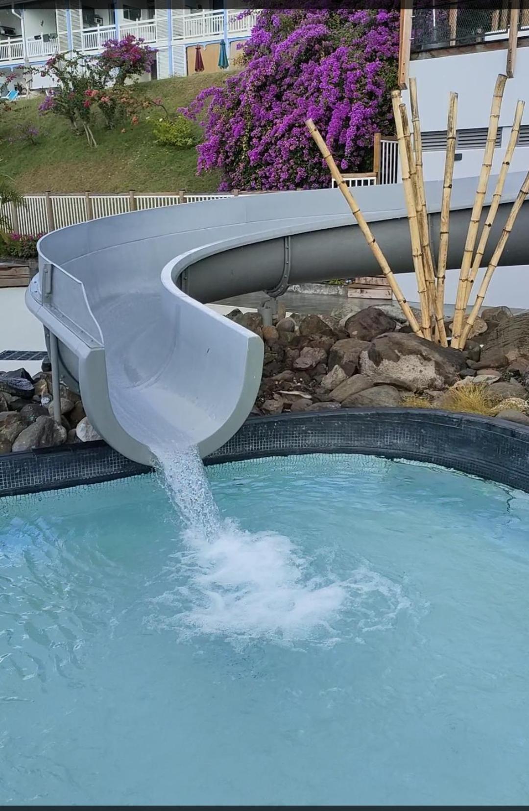 Perle marine Diamant, imagen 5