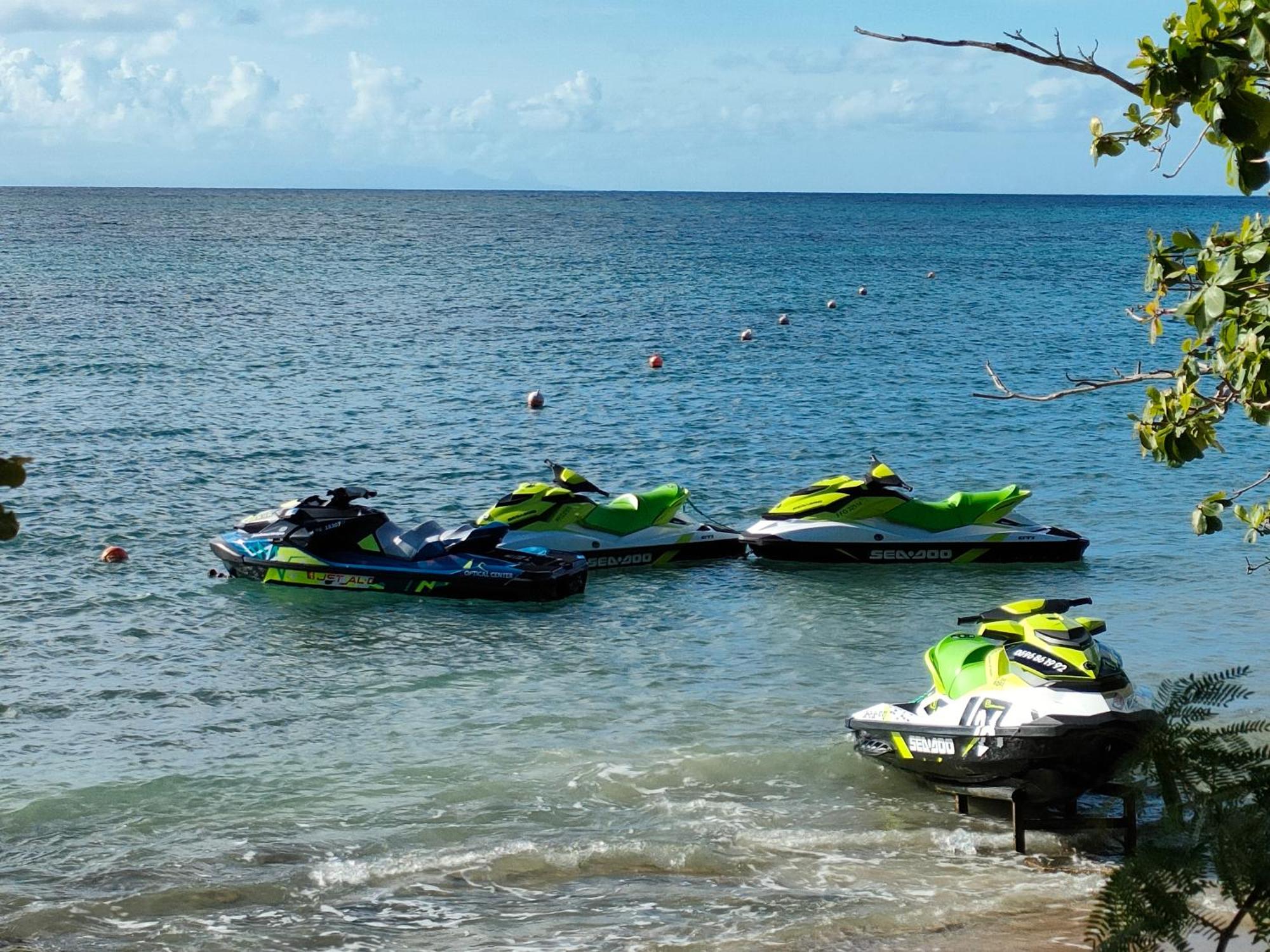 Perle marine Diamant, foto 10