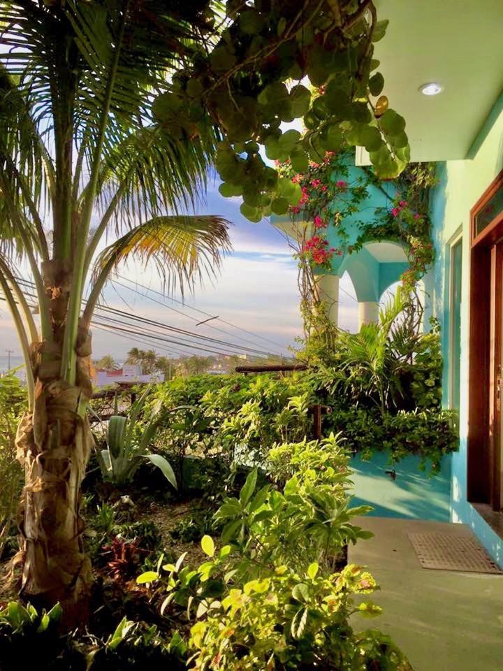 Casa Cielo Studio 1 with Tropical Garden Patio, imagen 2