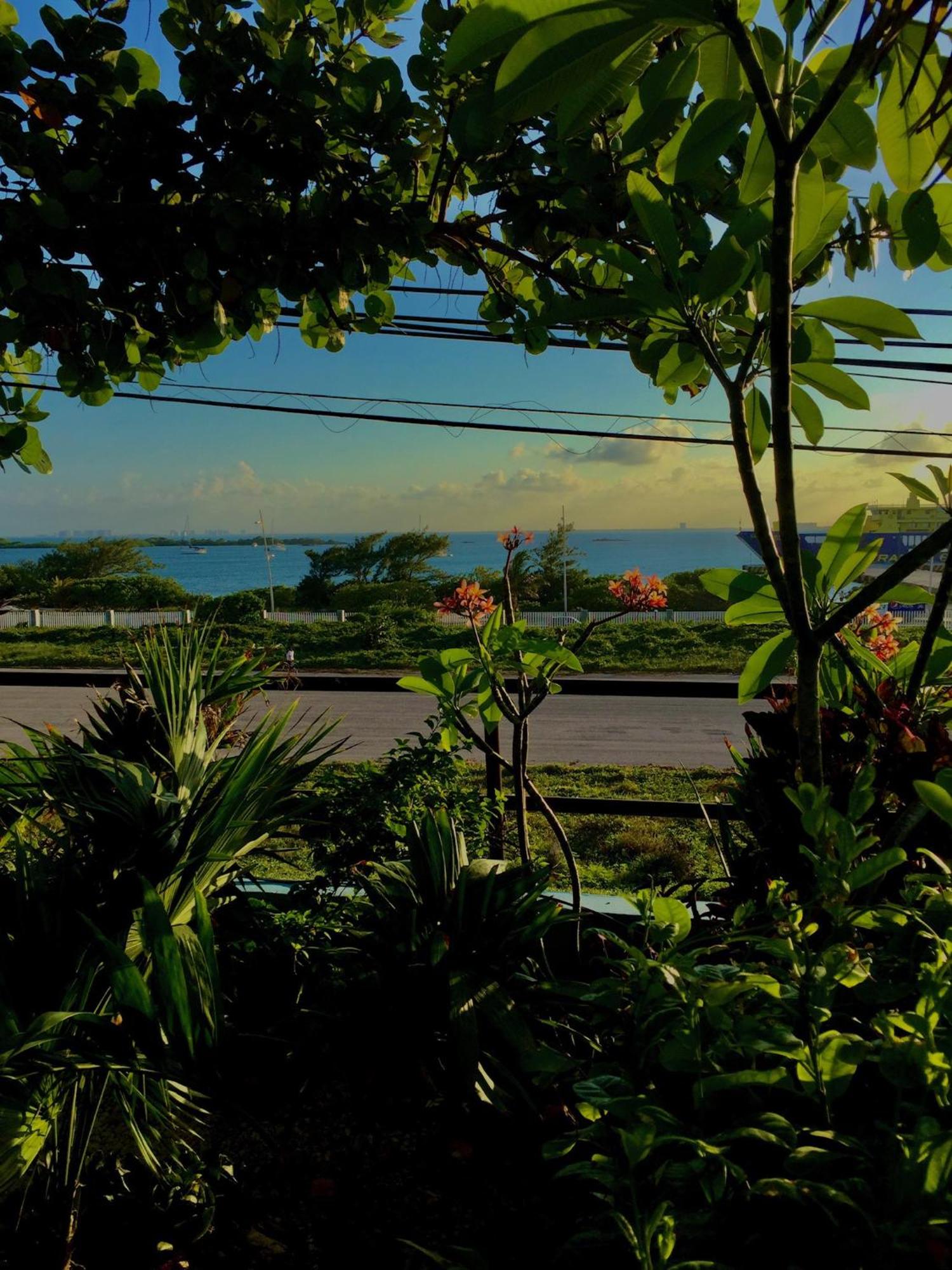 Casa Cielo Studio 1 with Tropical Garden Patio, imagen 3