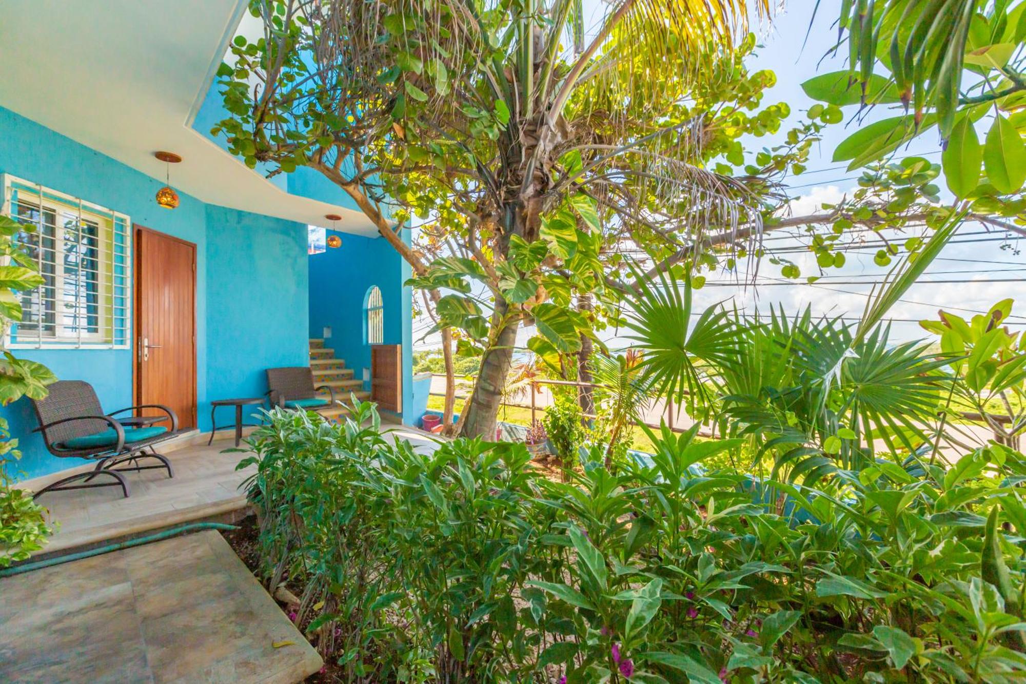 Casa Cielo Studio 1 with Tropical Garden Patio, imagen 4
