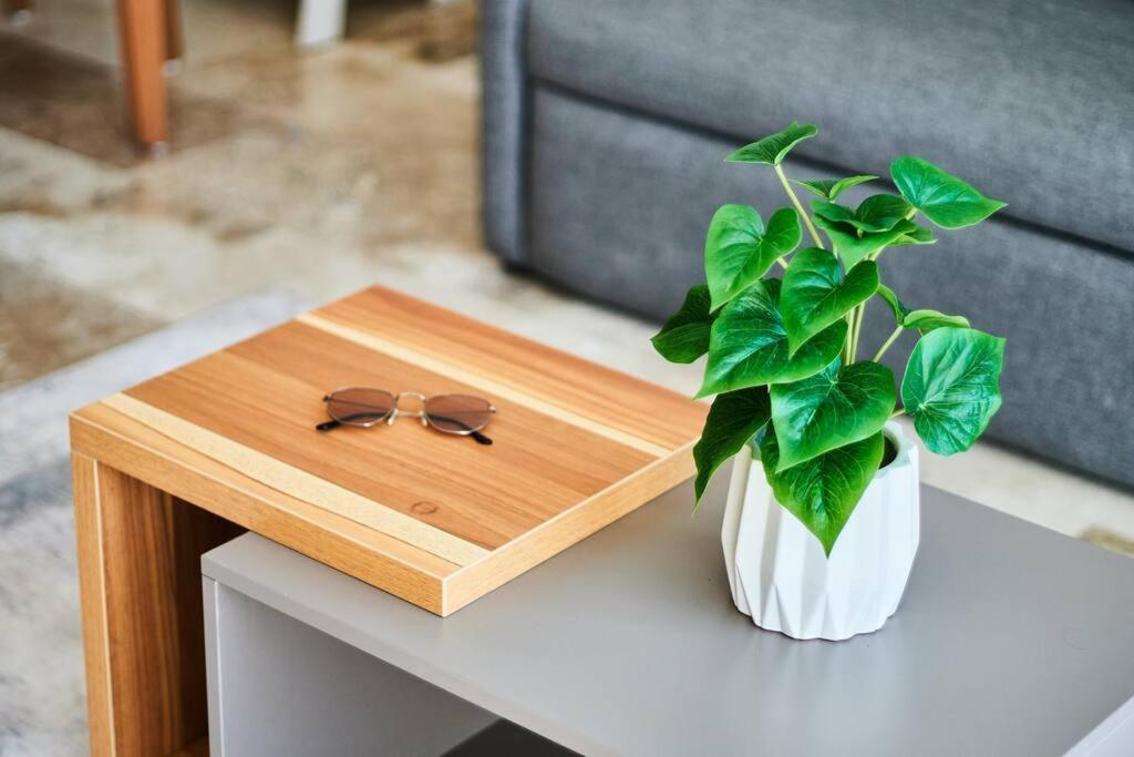 Elena 101 beautiful one bedroom in Aldea Zama, foto 13