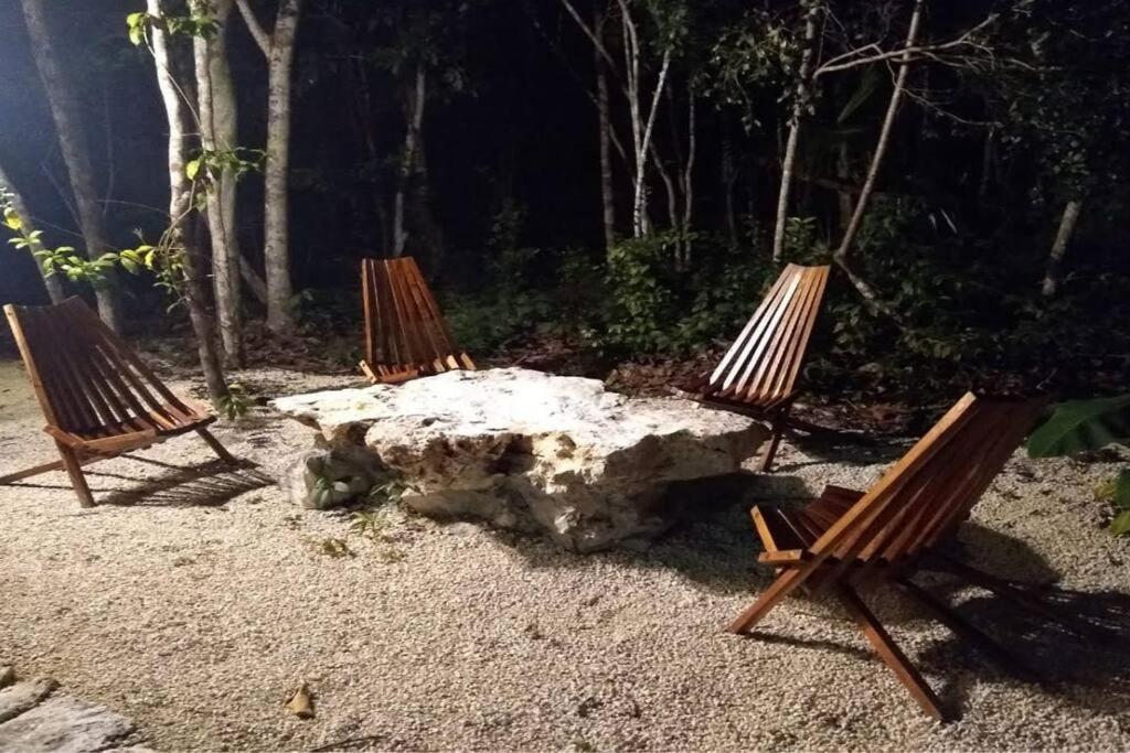 Casa Muuch Eco paradise-Cenotes near by, imagen 4