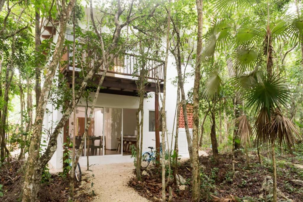 Casa Muuch Eco paradise-Cenotes near by, imagen 2