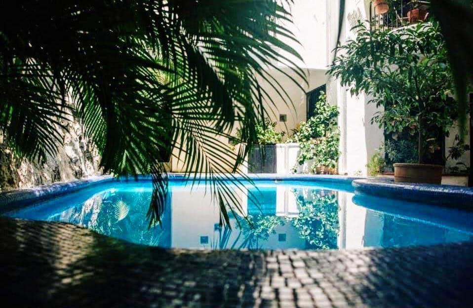 Apartment w/ PRIME location Mexican Colonial style, imagen 4