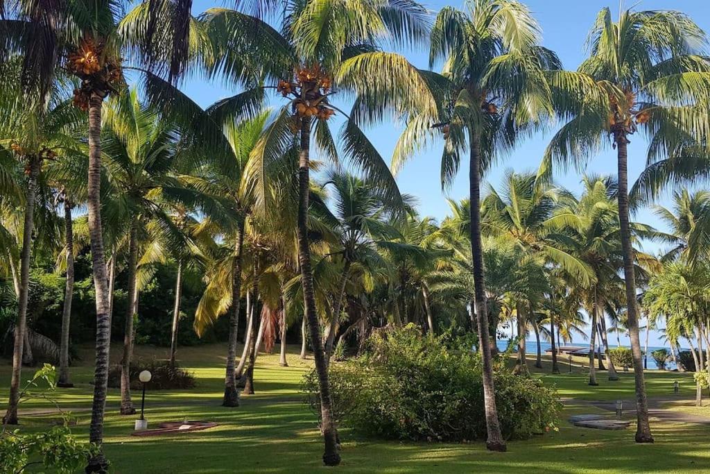 KARIBEKO : Exceptionnel & Rare : Plage , Piscine, WiFi privé, foto 7