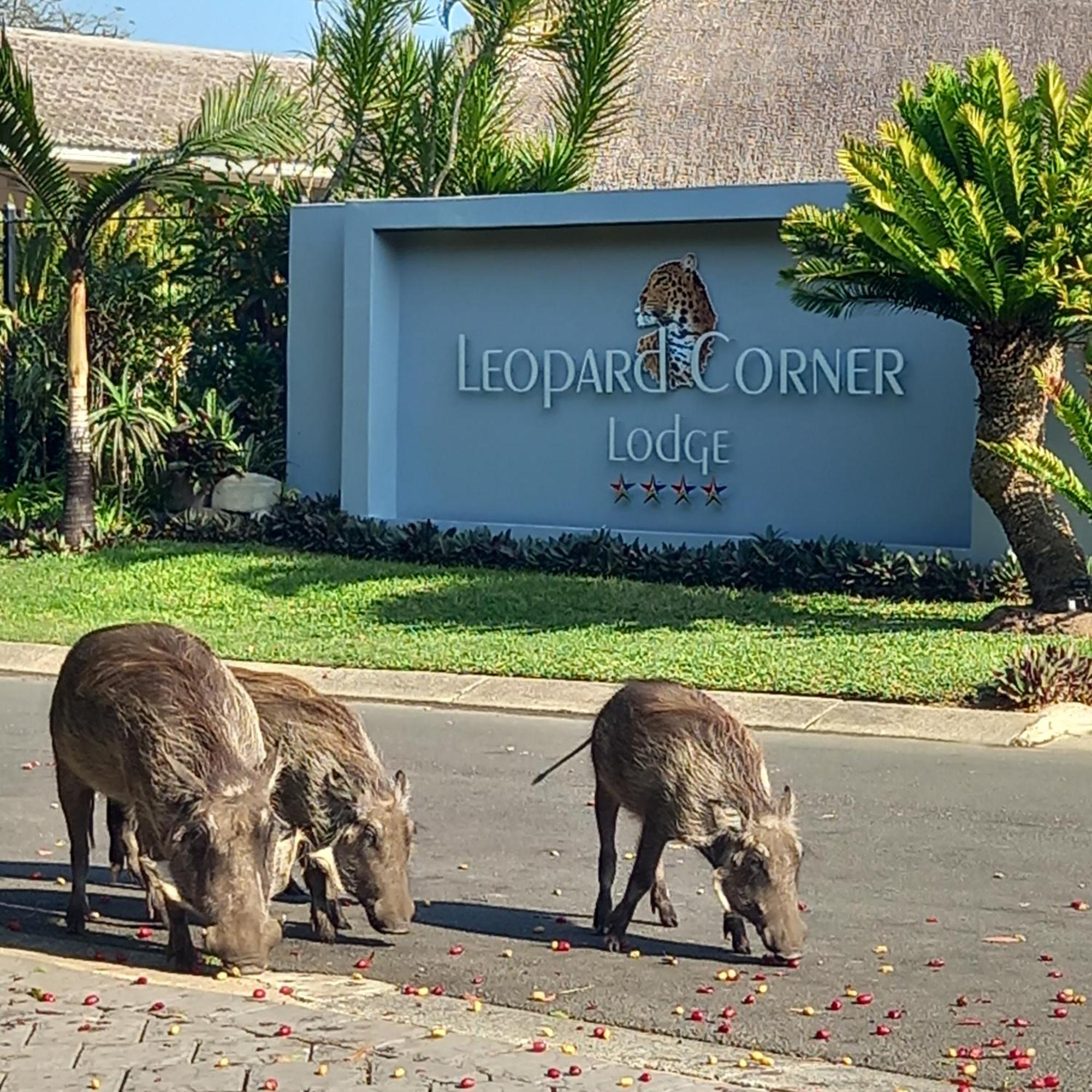 Leopard Corner Lodge — foto 3