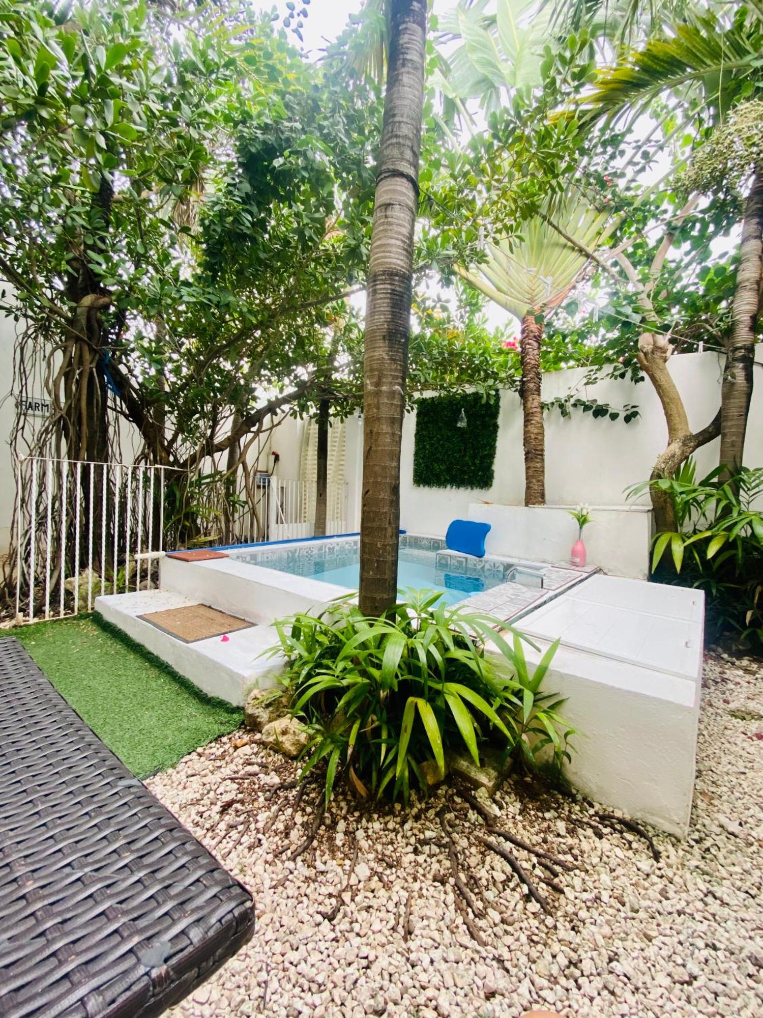 Cozy Tiny Studio AcasadiAlexPlayadelCarmen, foto 7