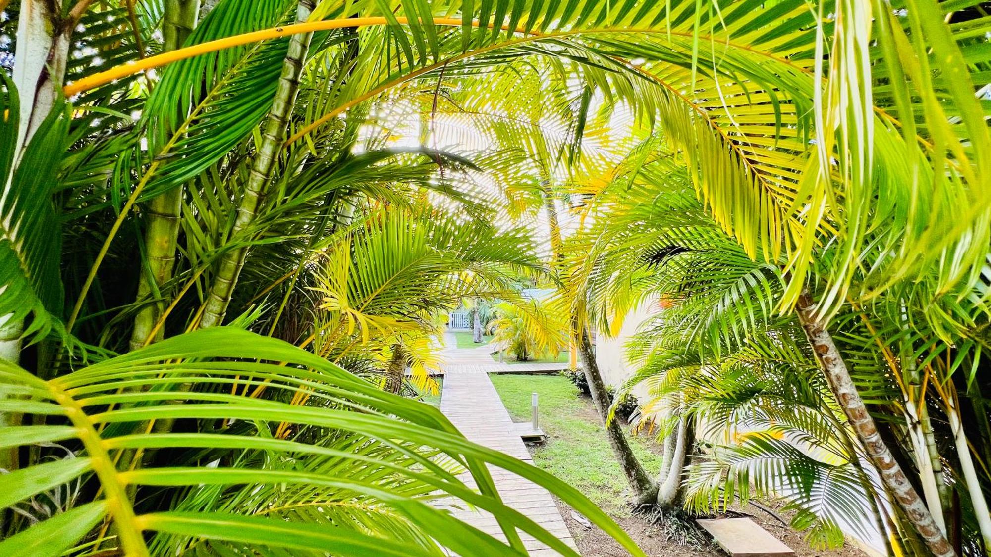 Île tropical lodges, foto 10