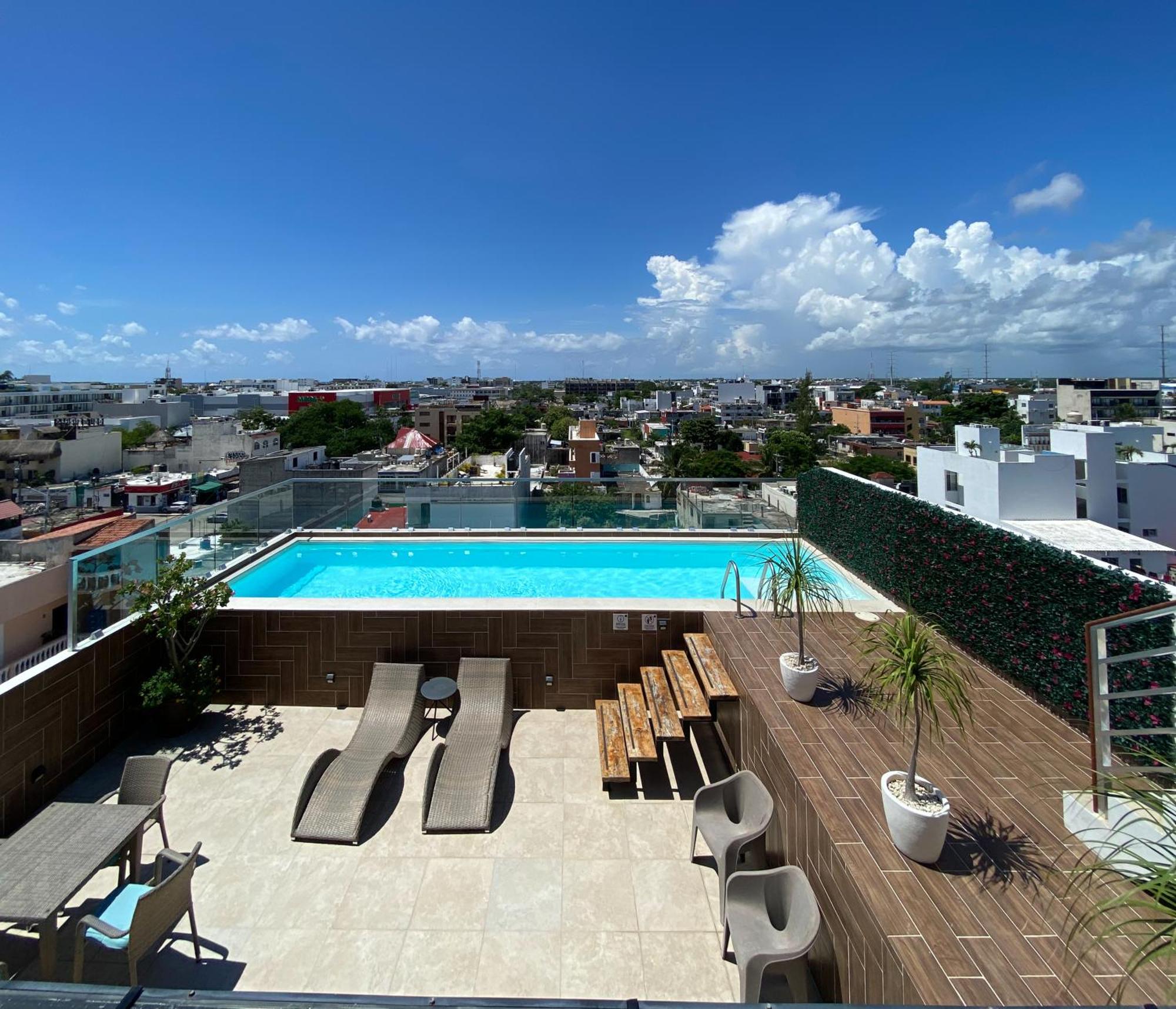 Studios with roofpool in Vanessa 24, imagen 2