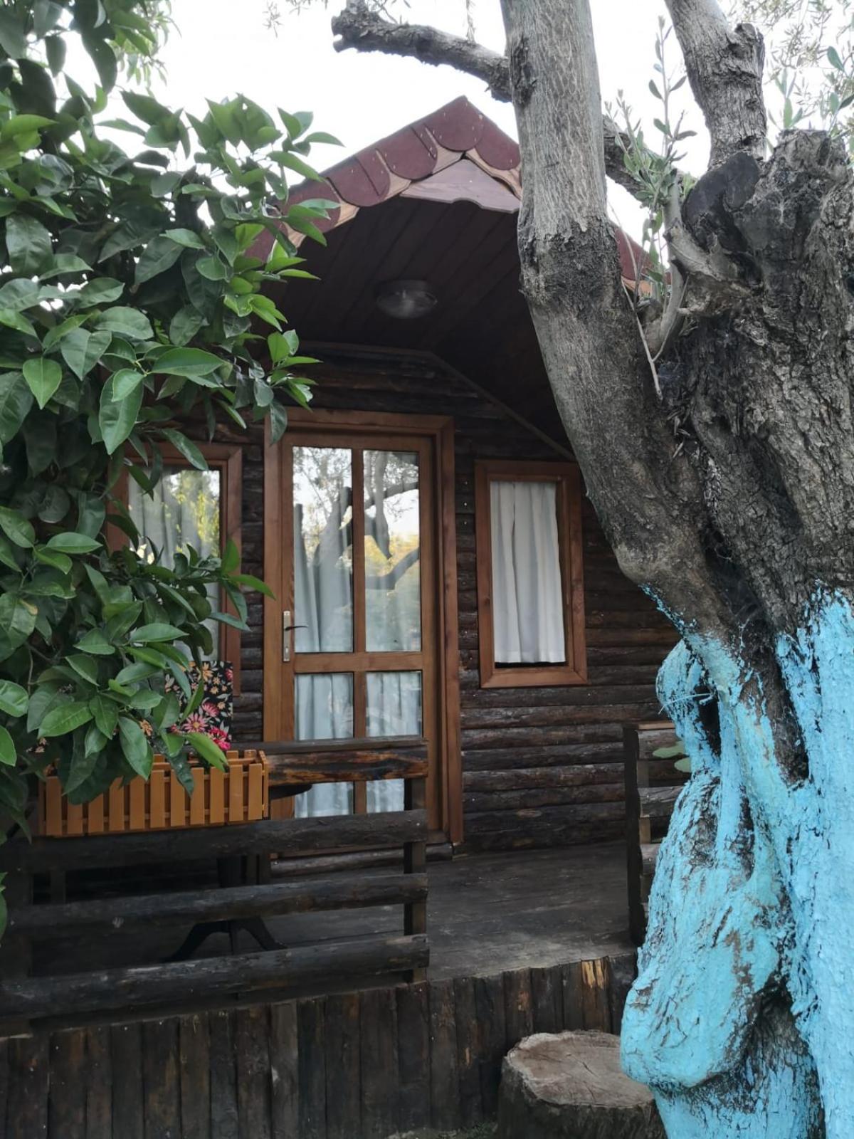 Zeytindagı bungalow
