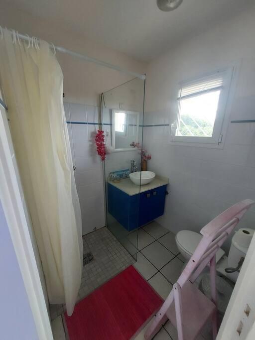 grand studio en bas de villa avec vue sur mer au Carbet, foto 13