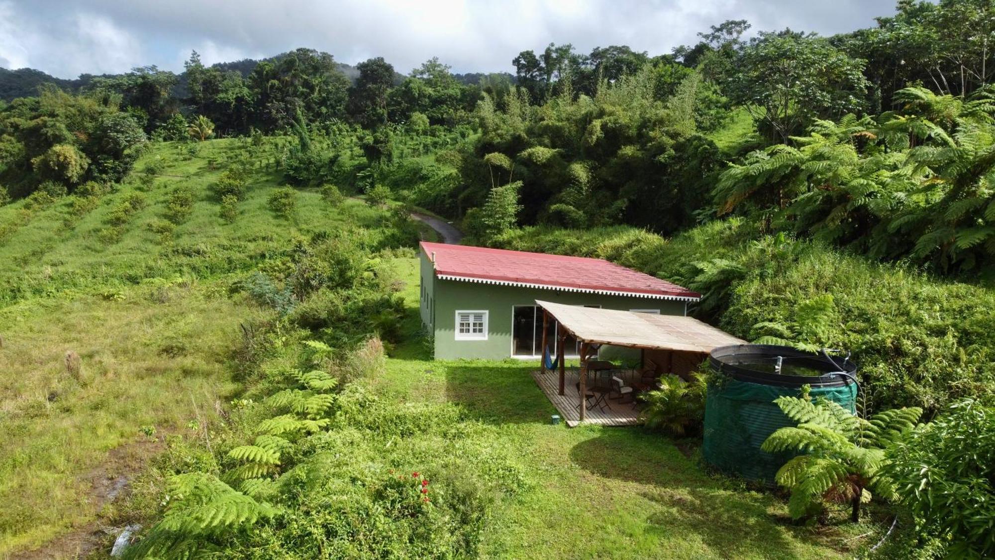 Chambre et SDB privative Roucou vue Mont Pelée dans maison partagée, foto 11