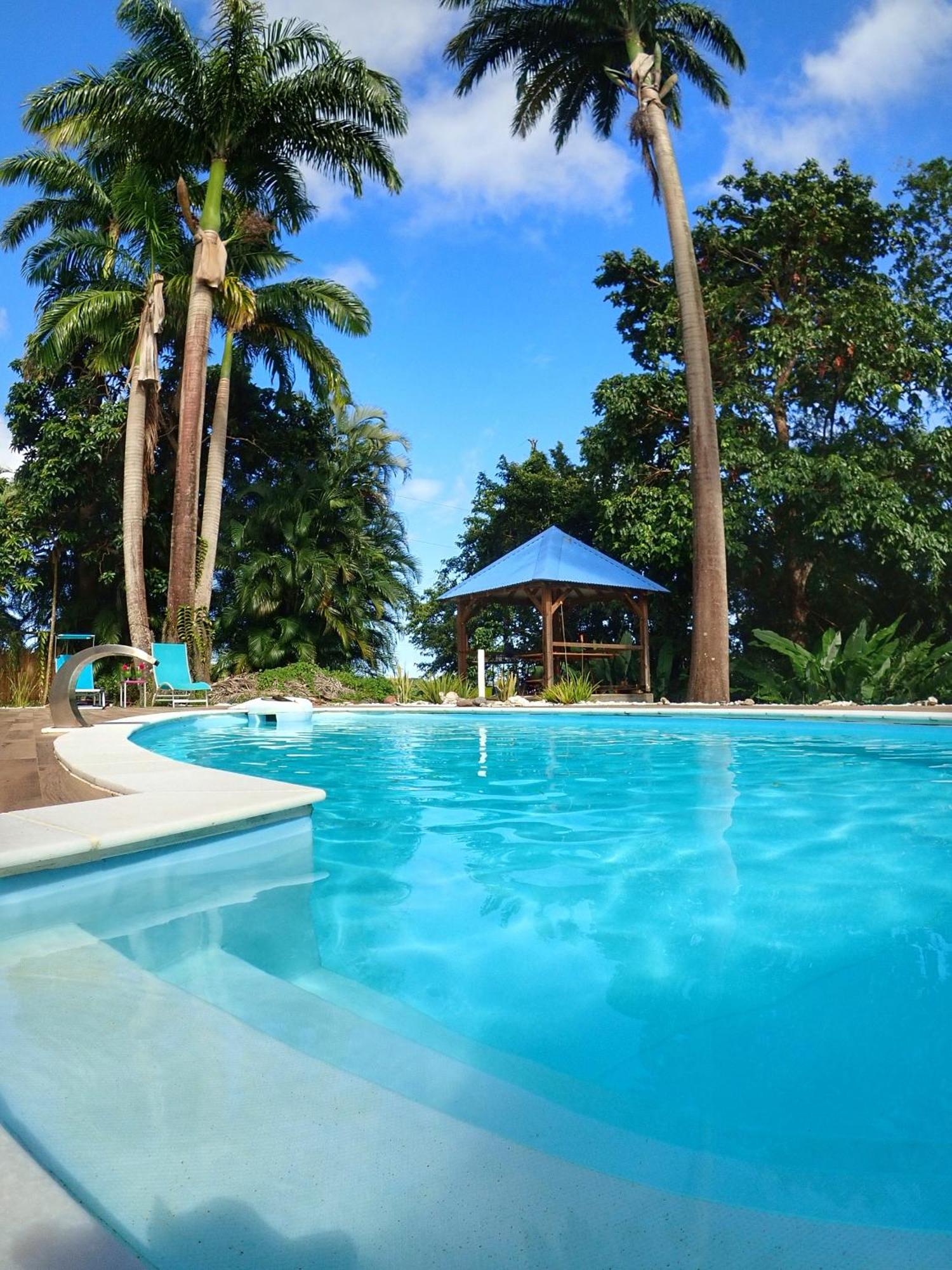 Gîte Kaz à Topaze, piscine, jardin tropical