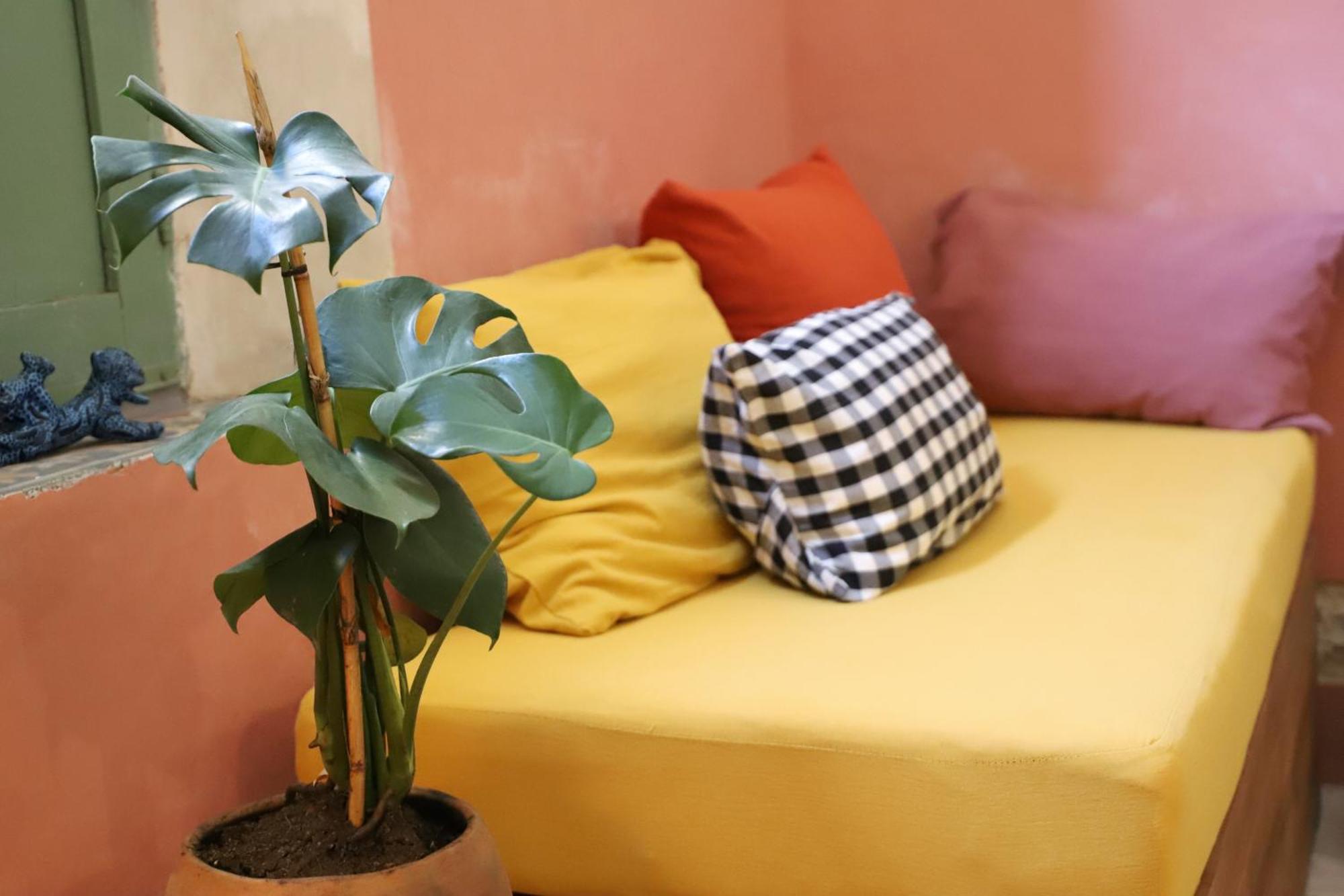 Nuik Casa Tropical, foto 14