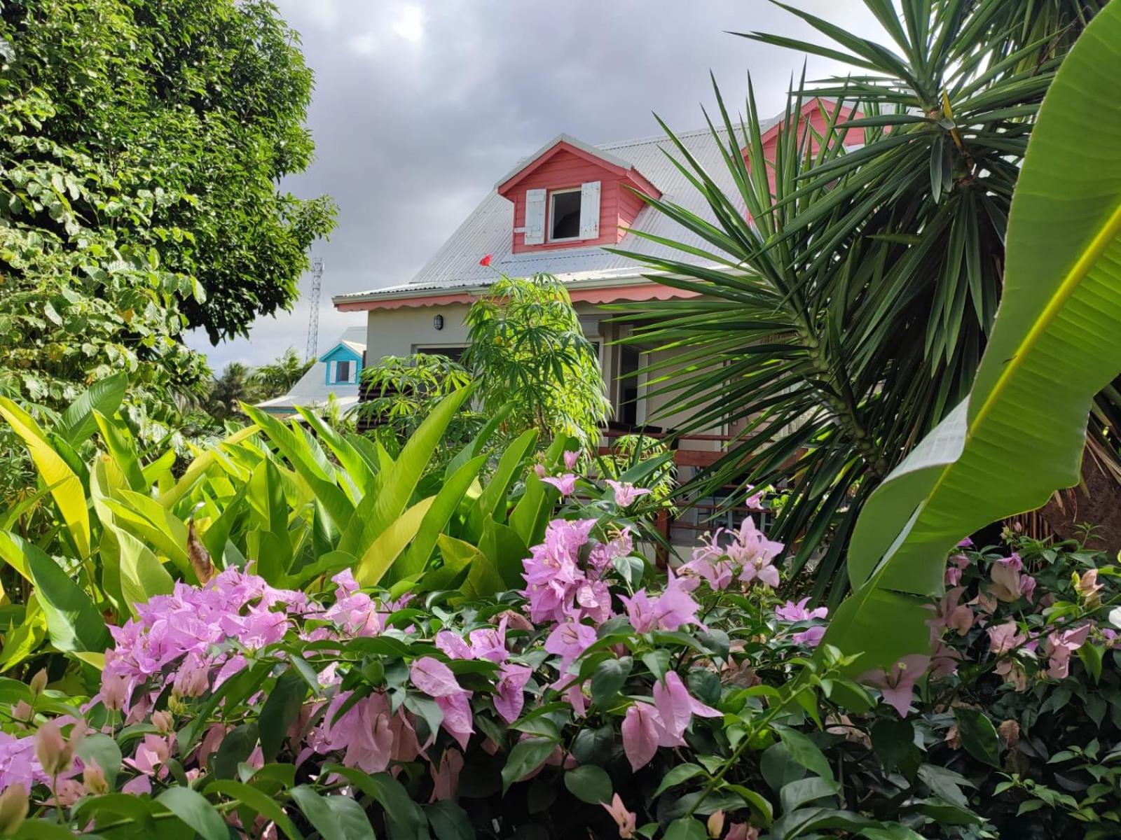 Charmante villa avec accès direct à la mer, imagen 3