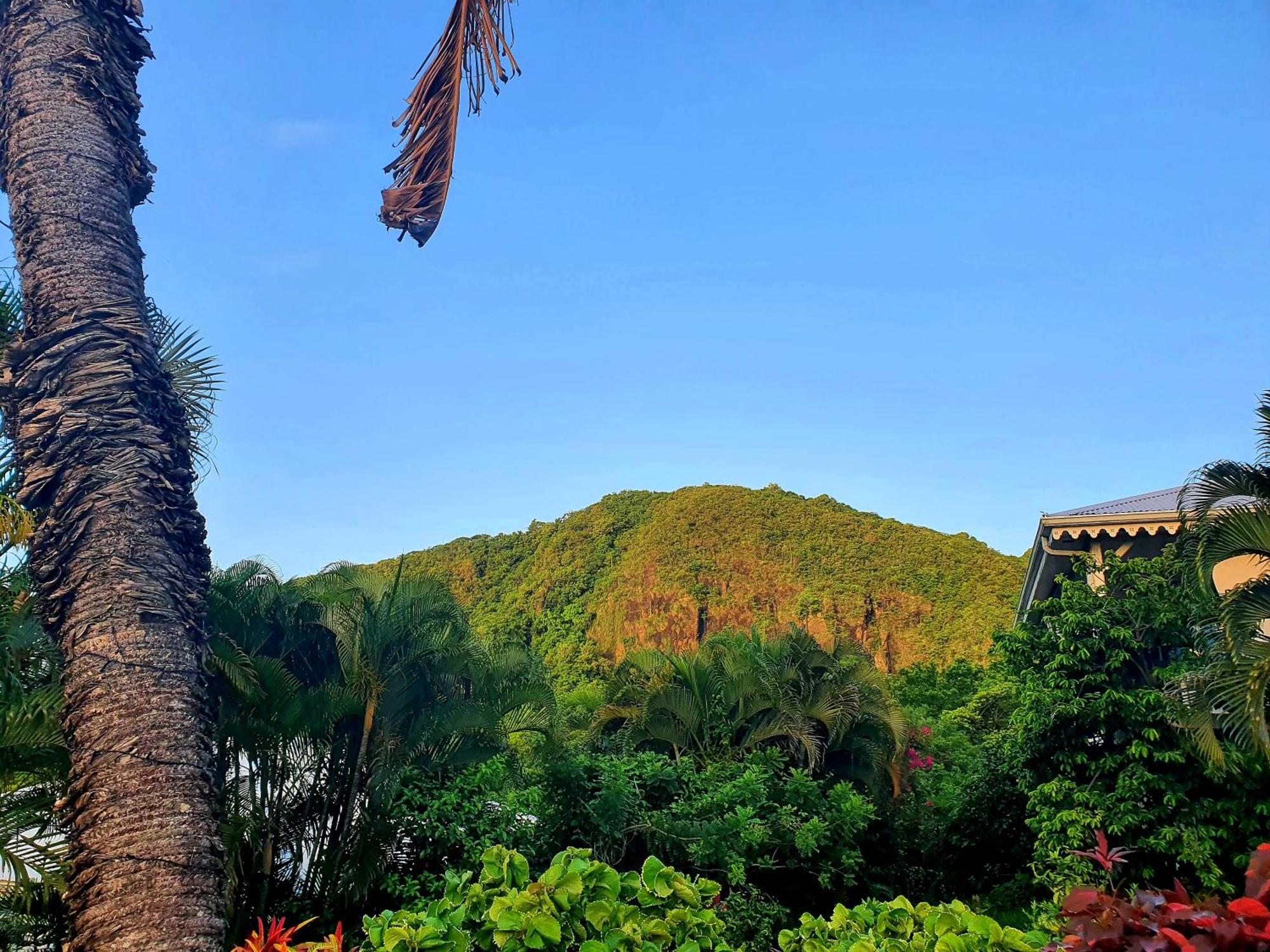 La Villa Baie du Marin, foto 16